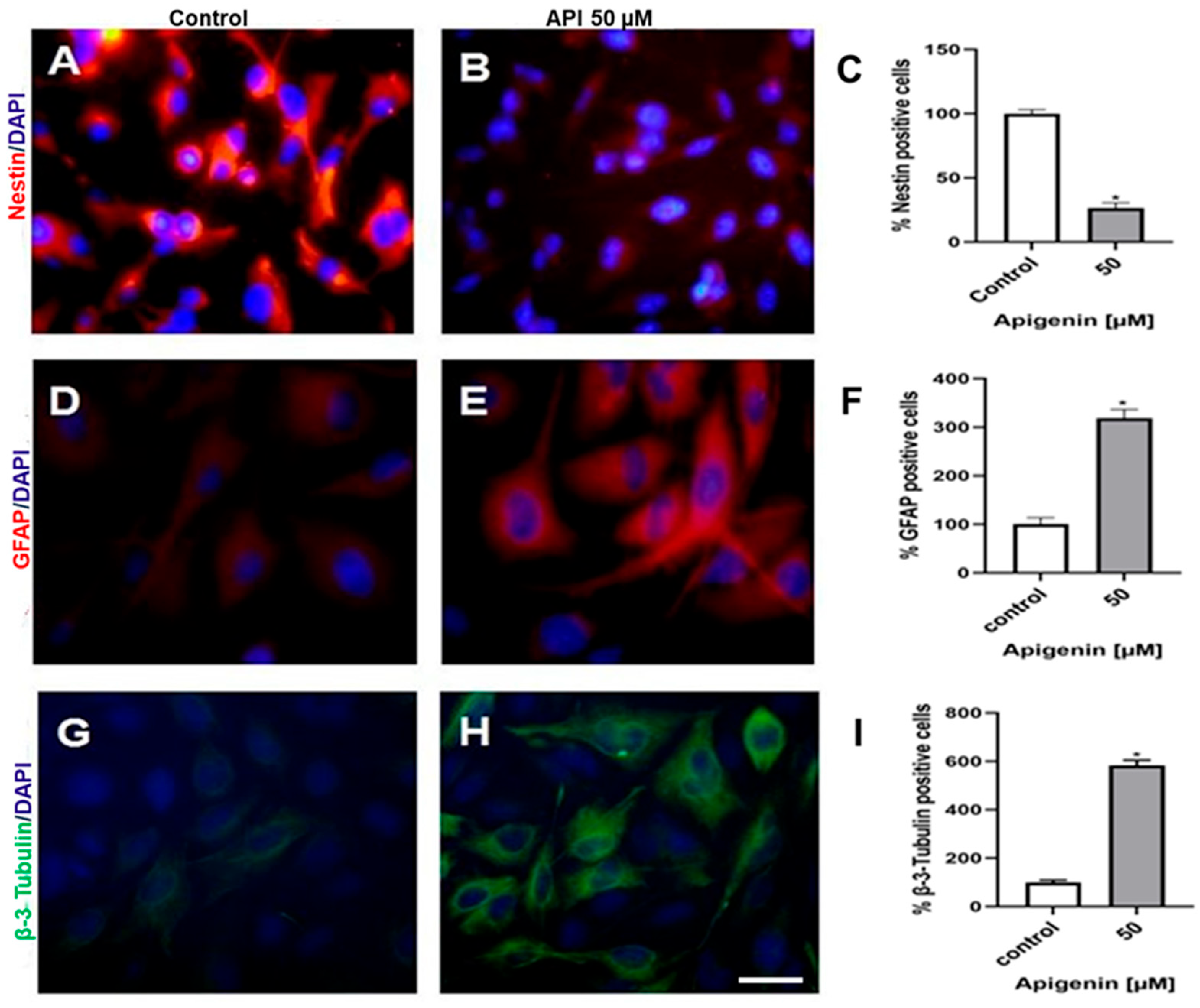 Cells 14 01552 g002 Cells 14 01552 g002