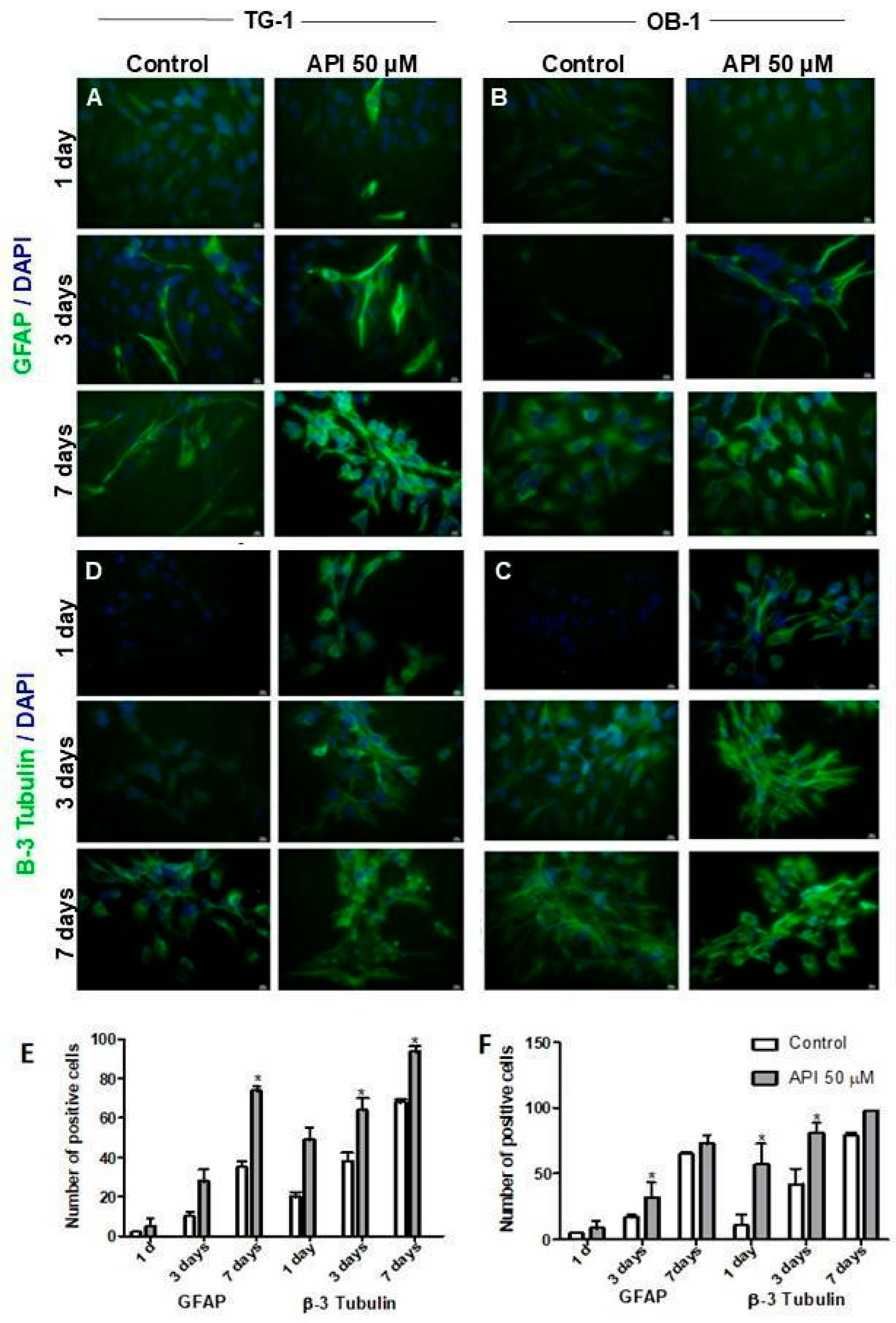 Cells 14 01552 g003 Cells 14 01552 g003