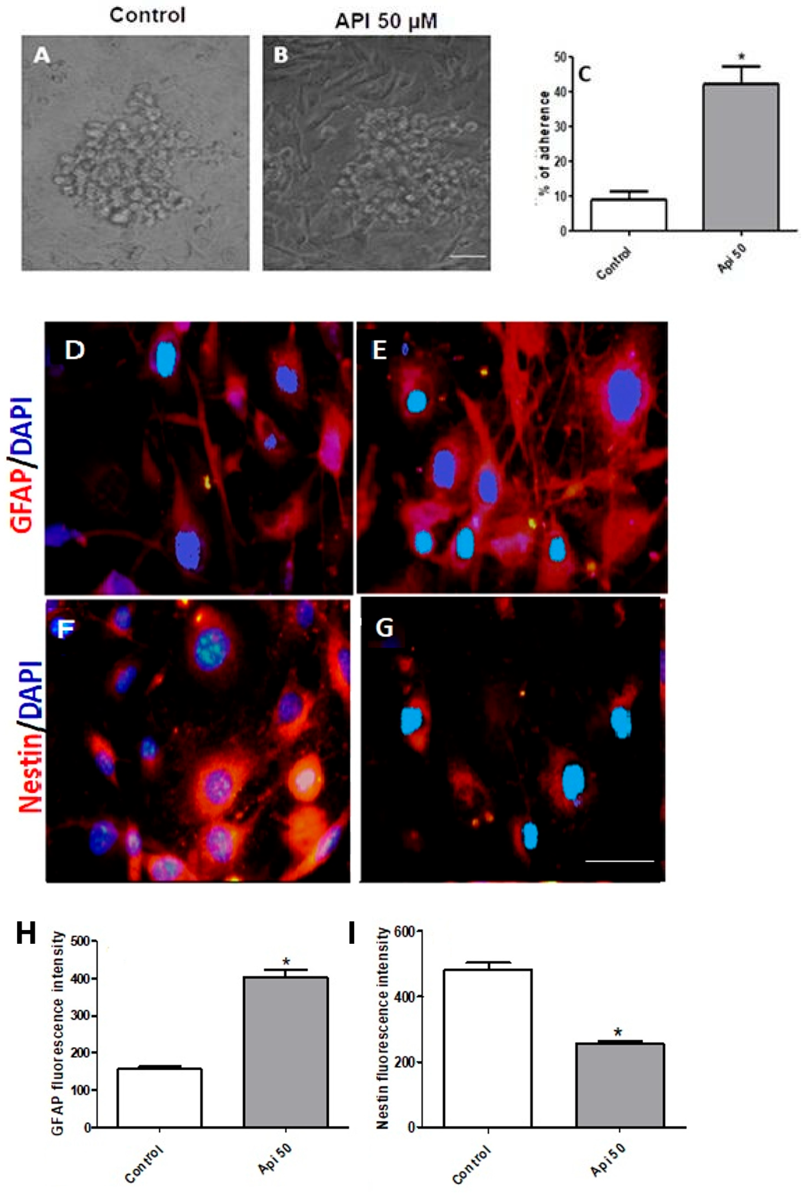 Cells 14 01552 g004 Cells 14 01552 g004