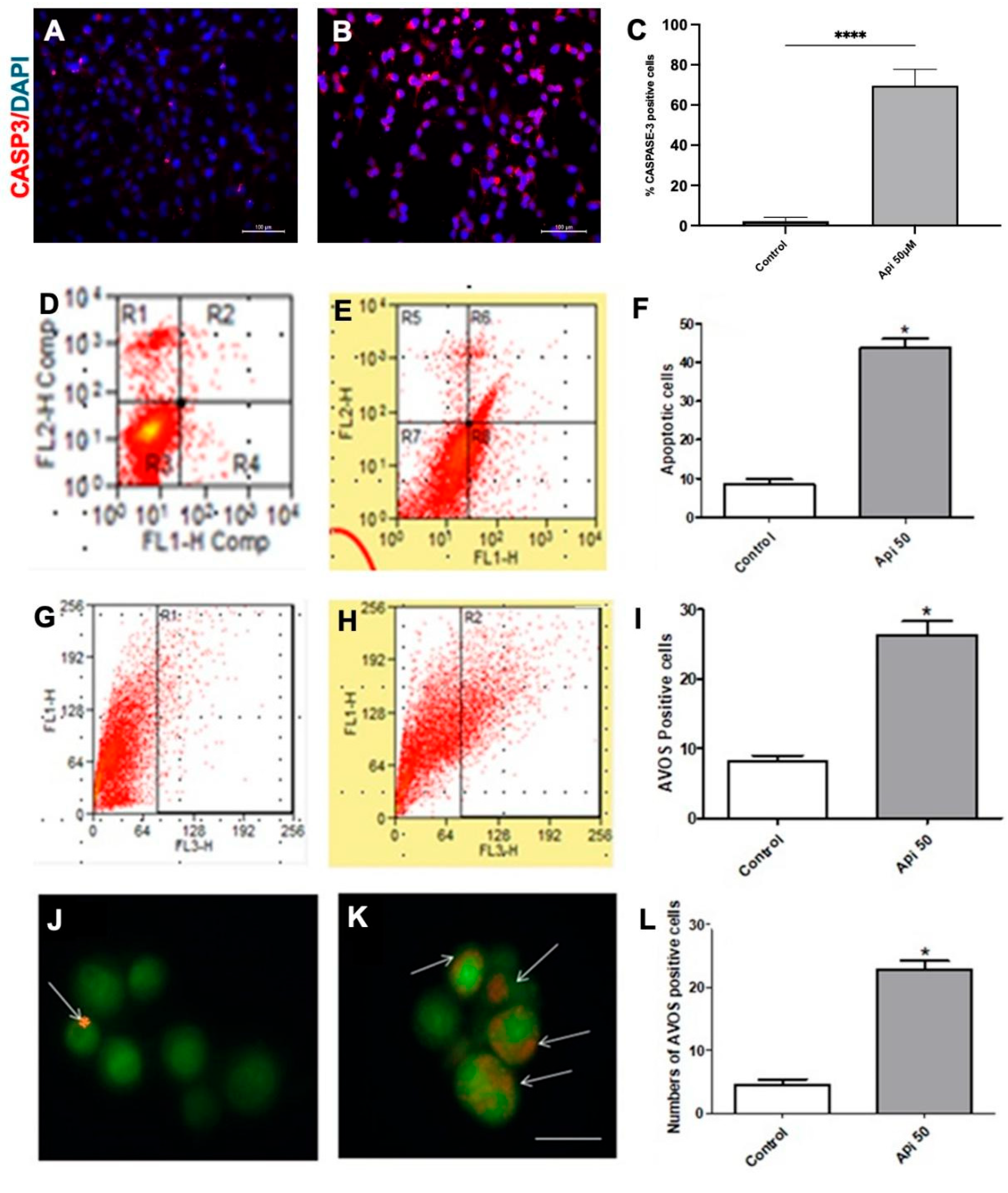 Cells 14 01552 g005 Cells 14 01552 g005