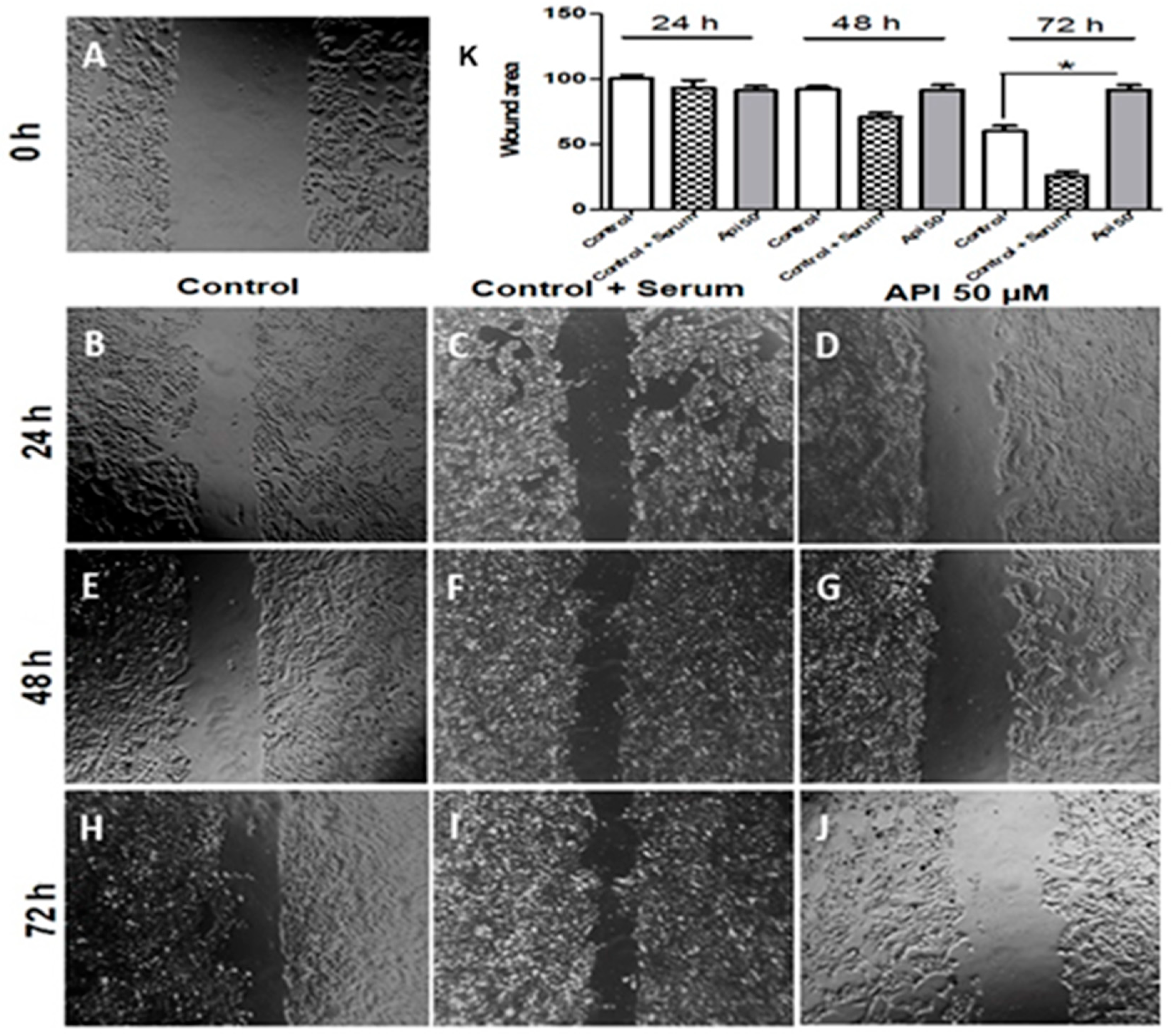 Cells 14 01552 g006 Cells 14 01552 g006
