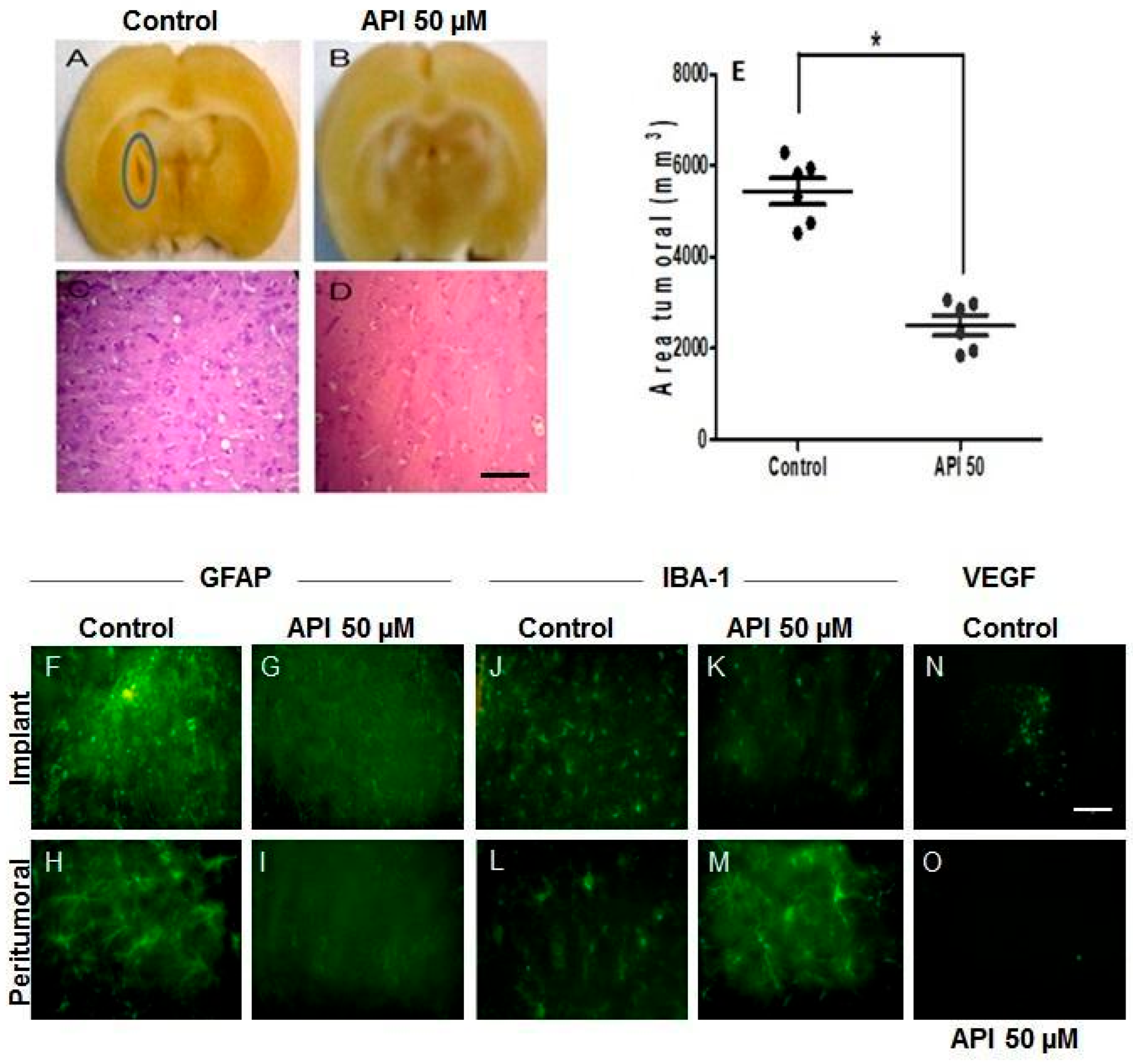 Cells 14 01552 g007 Cells 14 01552 g007
