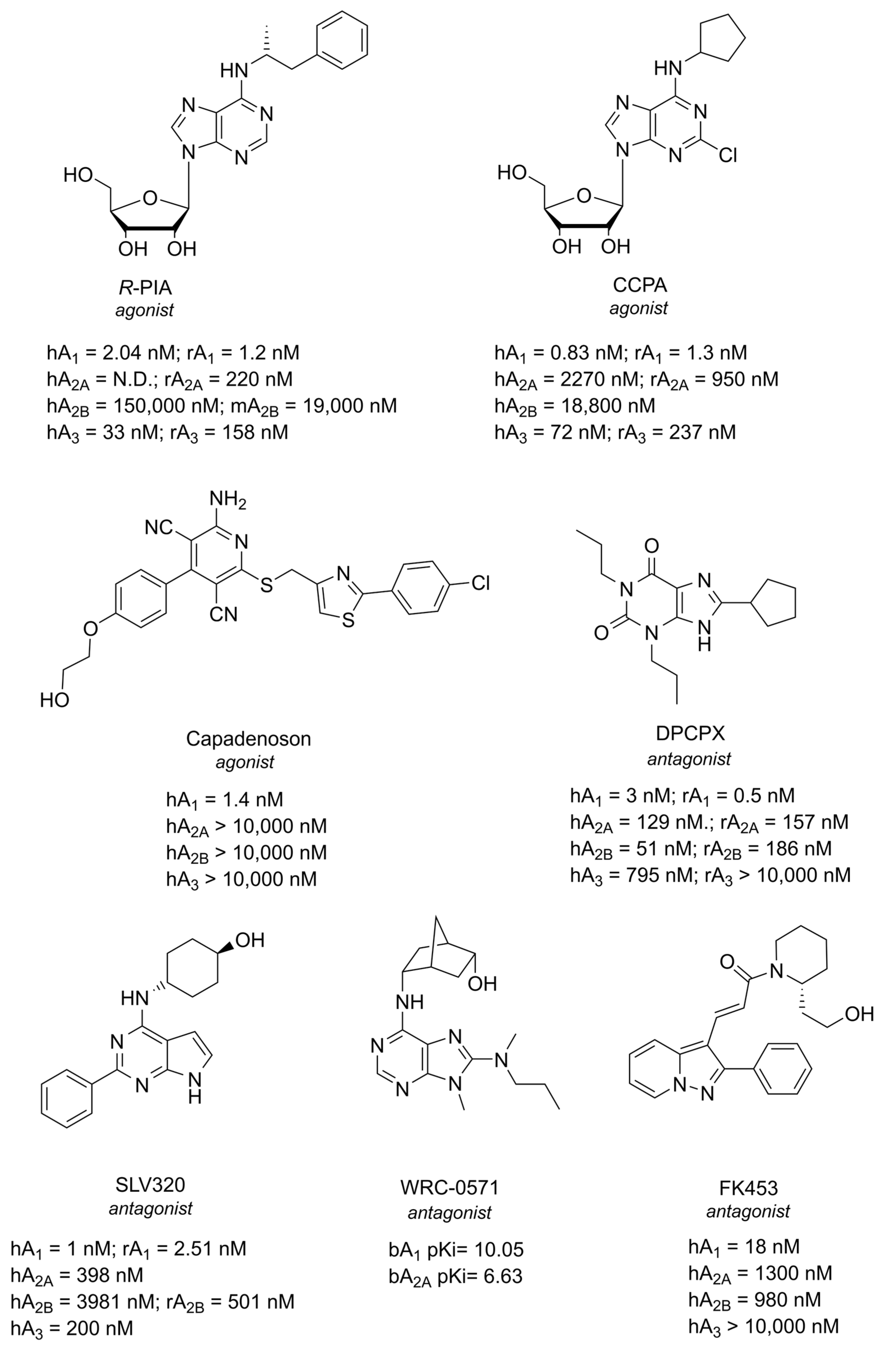Cells 14 01585 g003