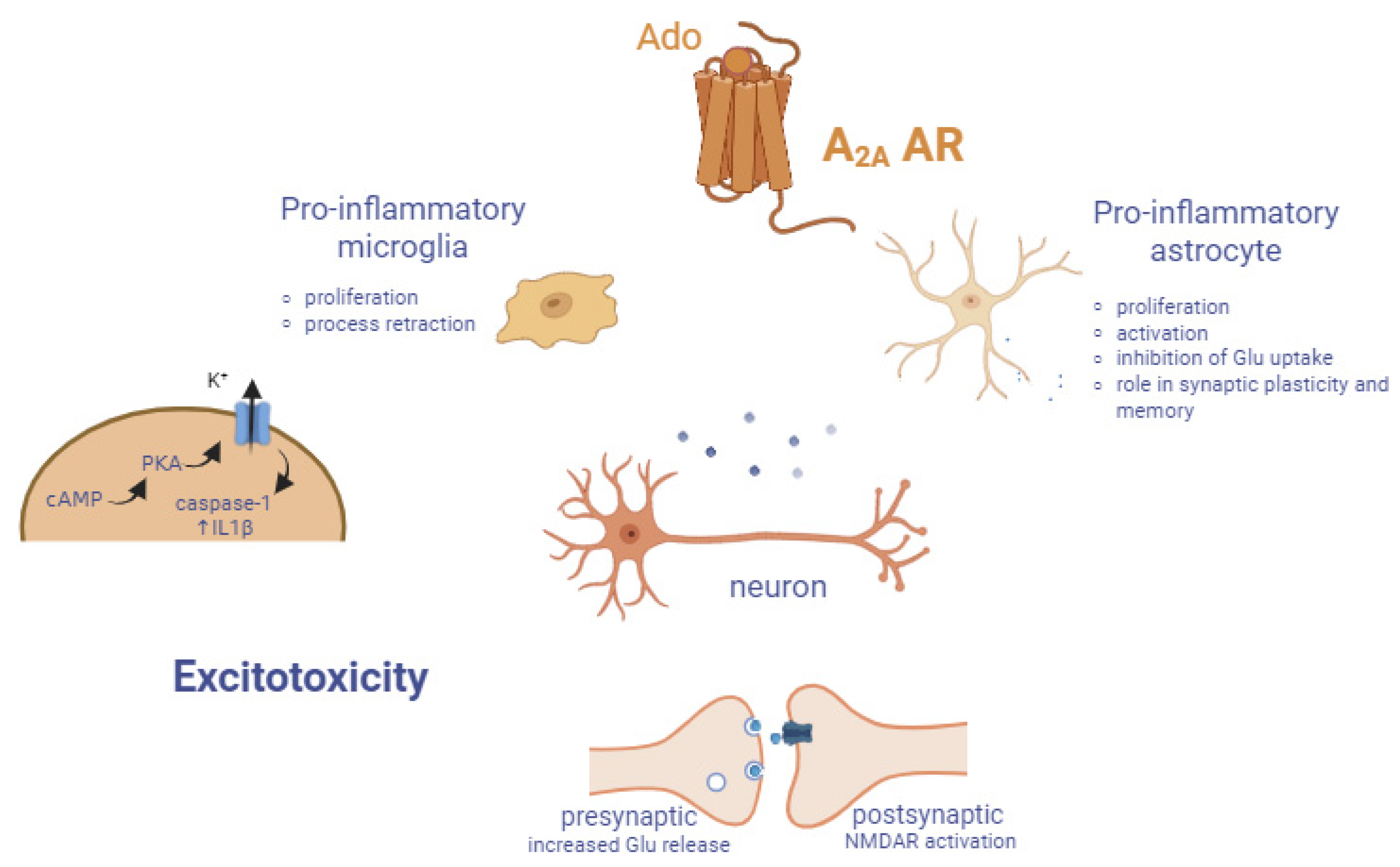 Cells 14 01585 g006