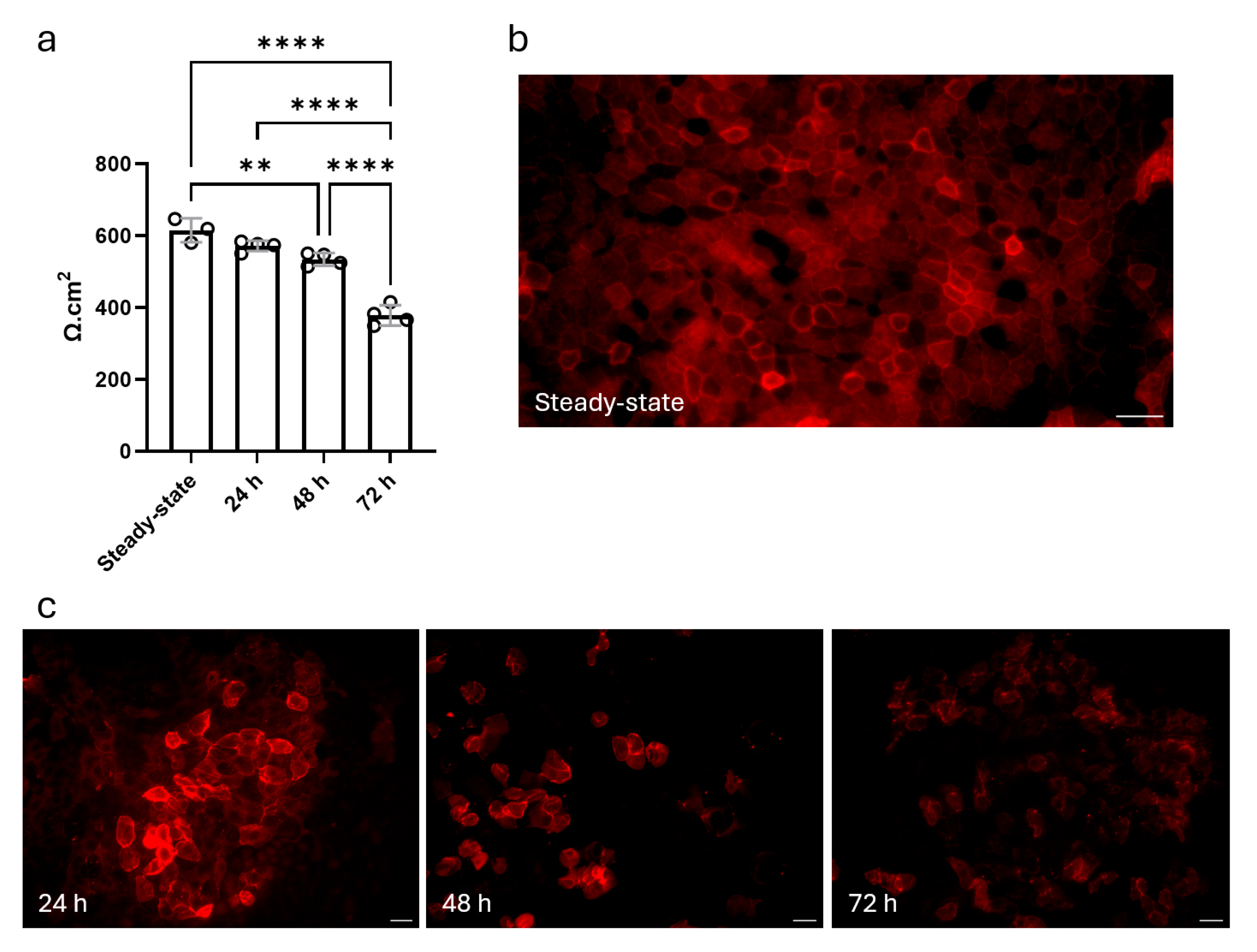 Cells 14 01598 g008 Cells 14 01598 g008