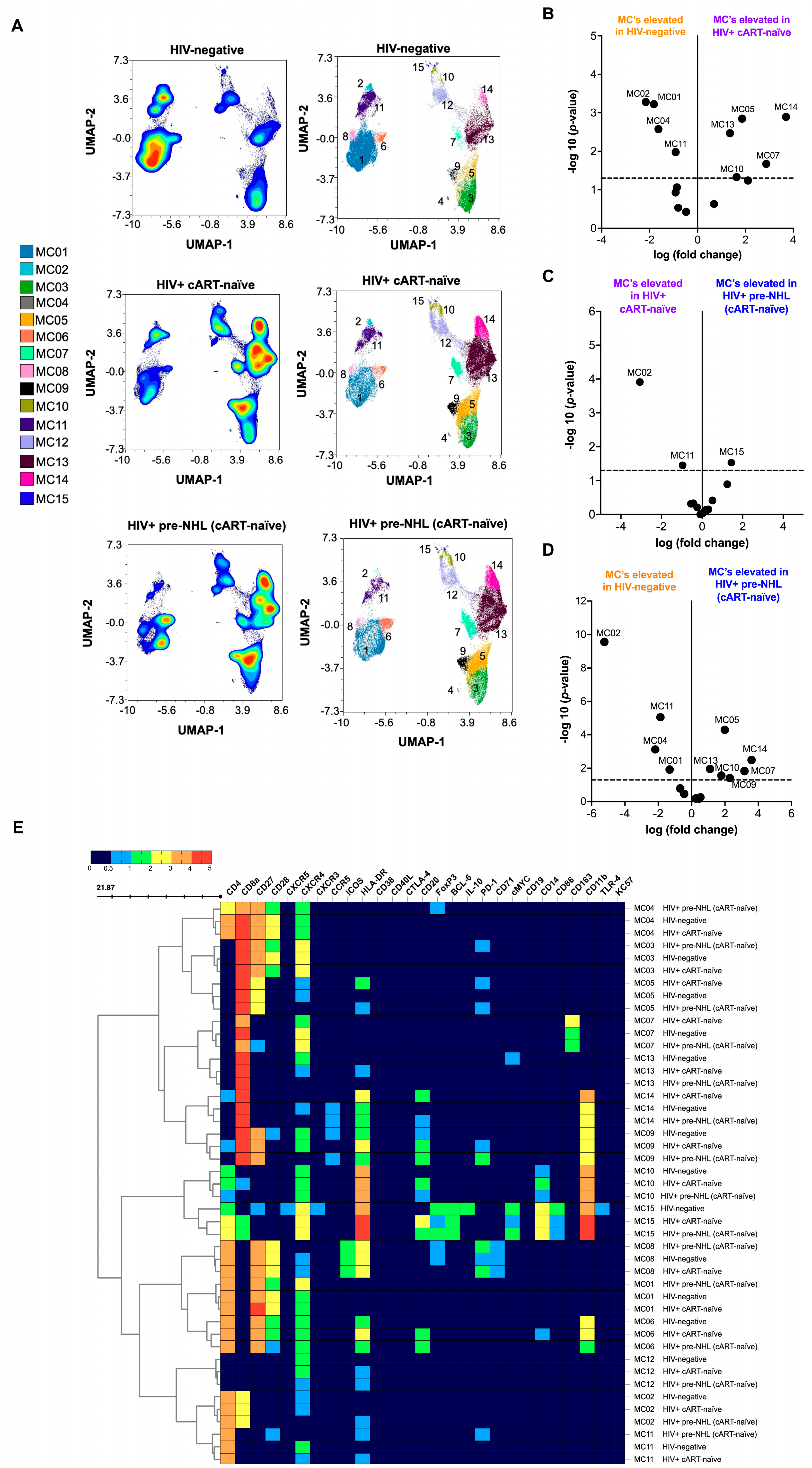 Cells 14 01608 g001 Cells 14 01608 g001