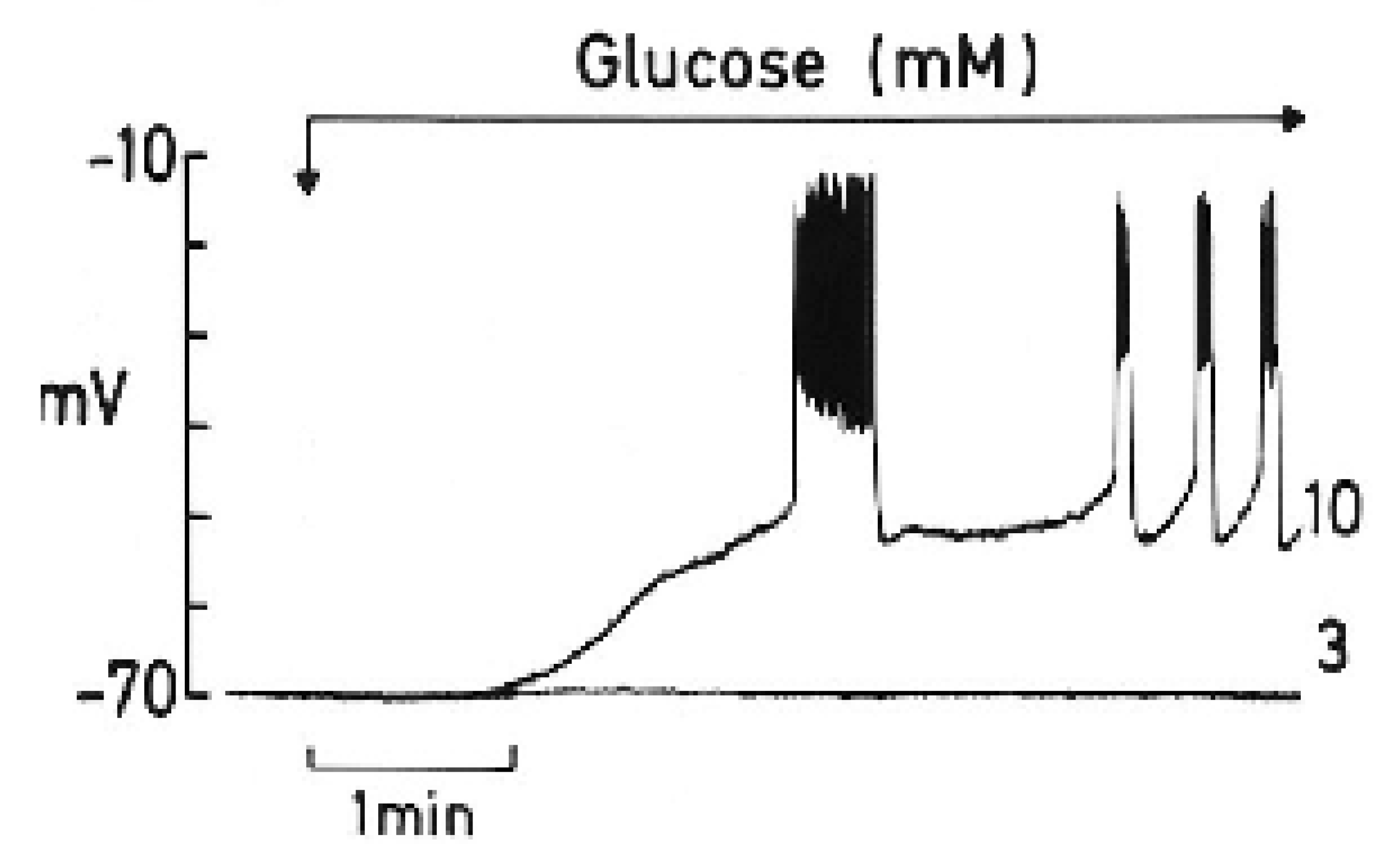 Cells 14 01644 g002 Cells 14 01644 g002