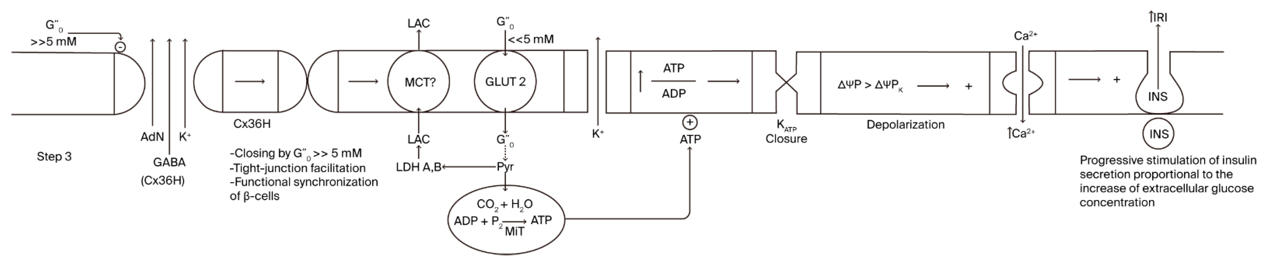 Cells 14 01644 g003 Cells 14 01644 g003