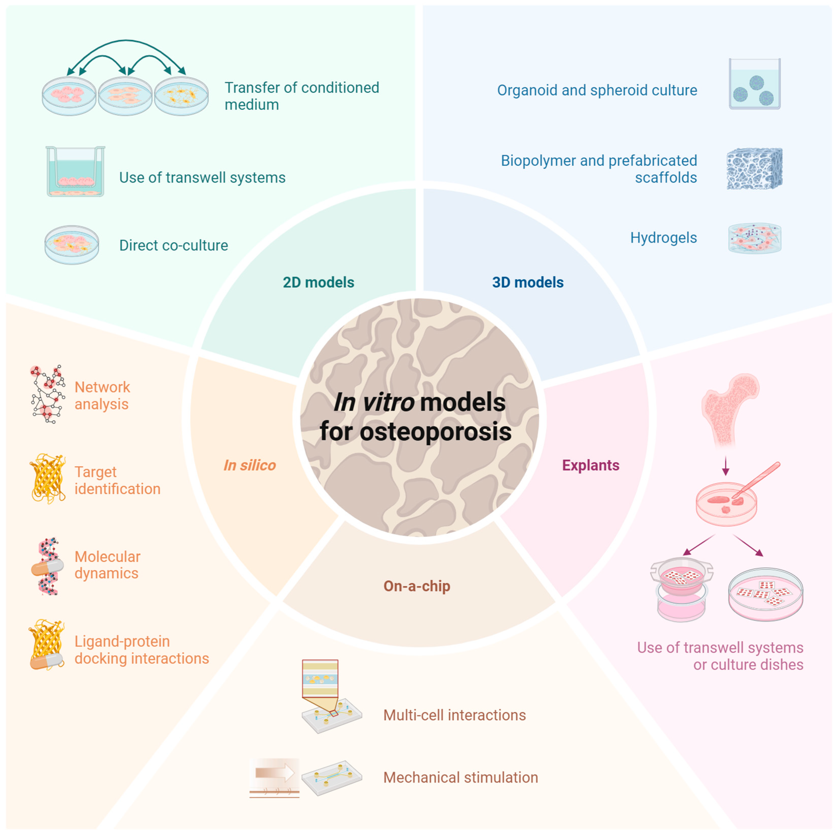 Cells 14 01649 g002 Cells 14 01649 g002
