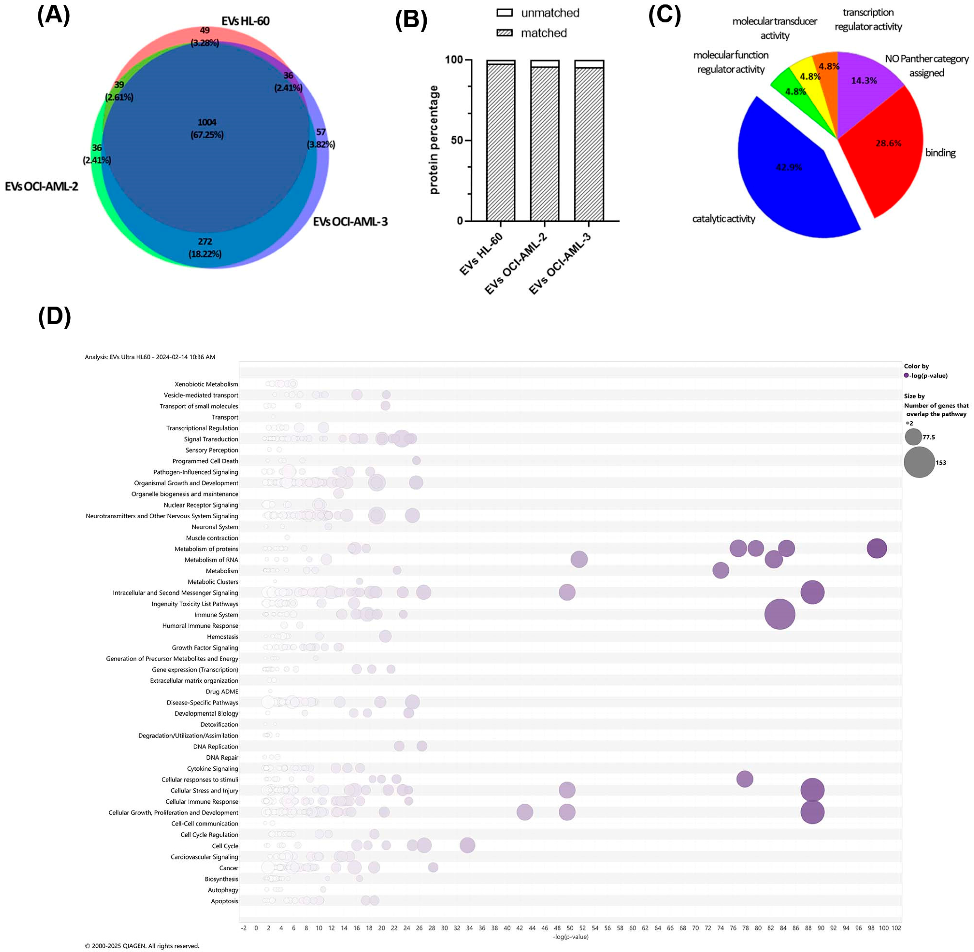 Cells 14 01651 g002 Cells 14 01651 g002