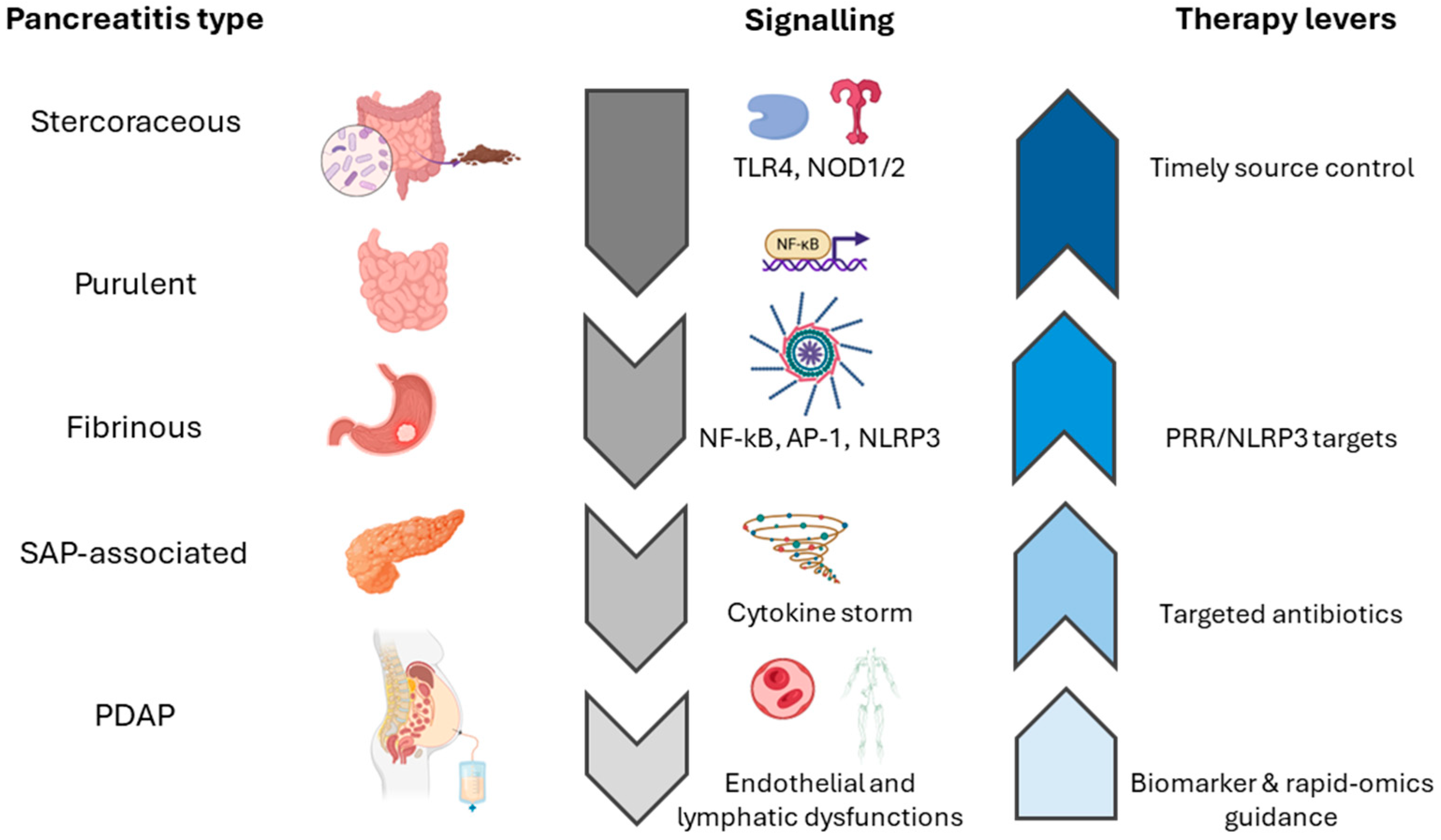 Cells 14 01653 g001 Cells 14 01653 g001