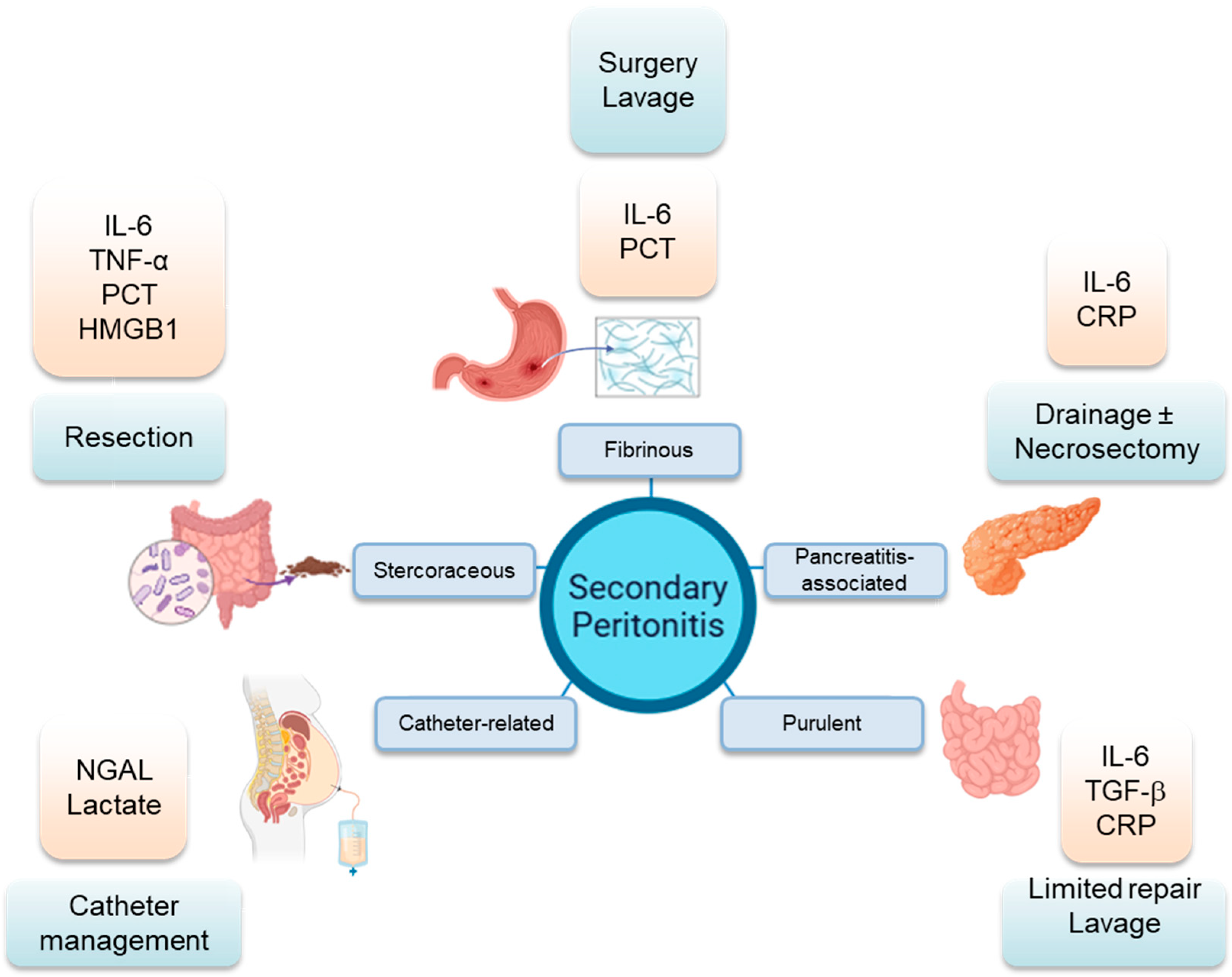 Cells 14 01653 g002 Cells 14 01653 g002