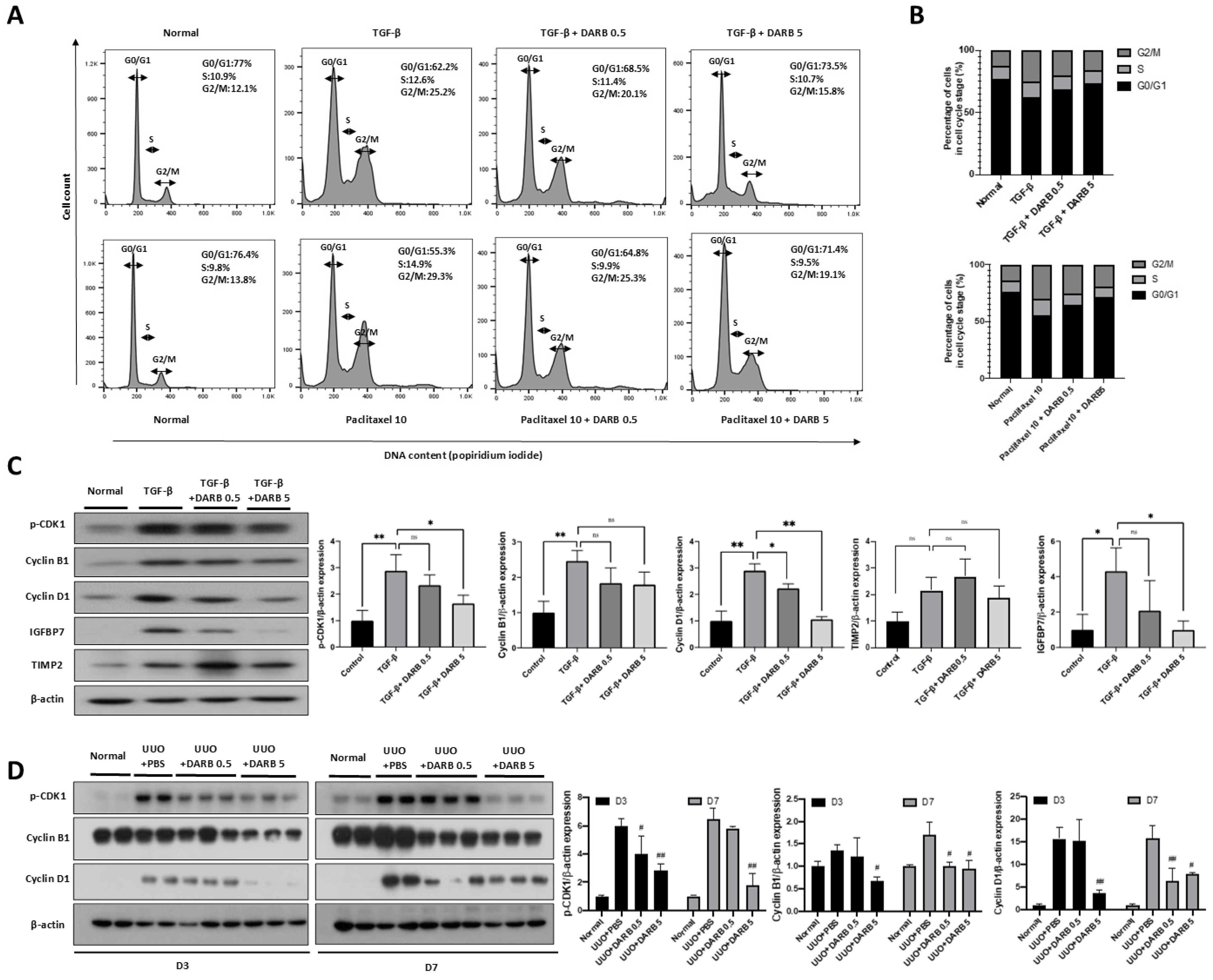 Cells 14 01662 g001 Cells 14 01662 g001