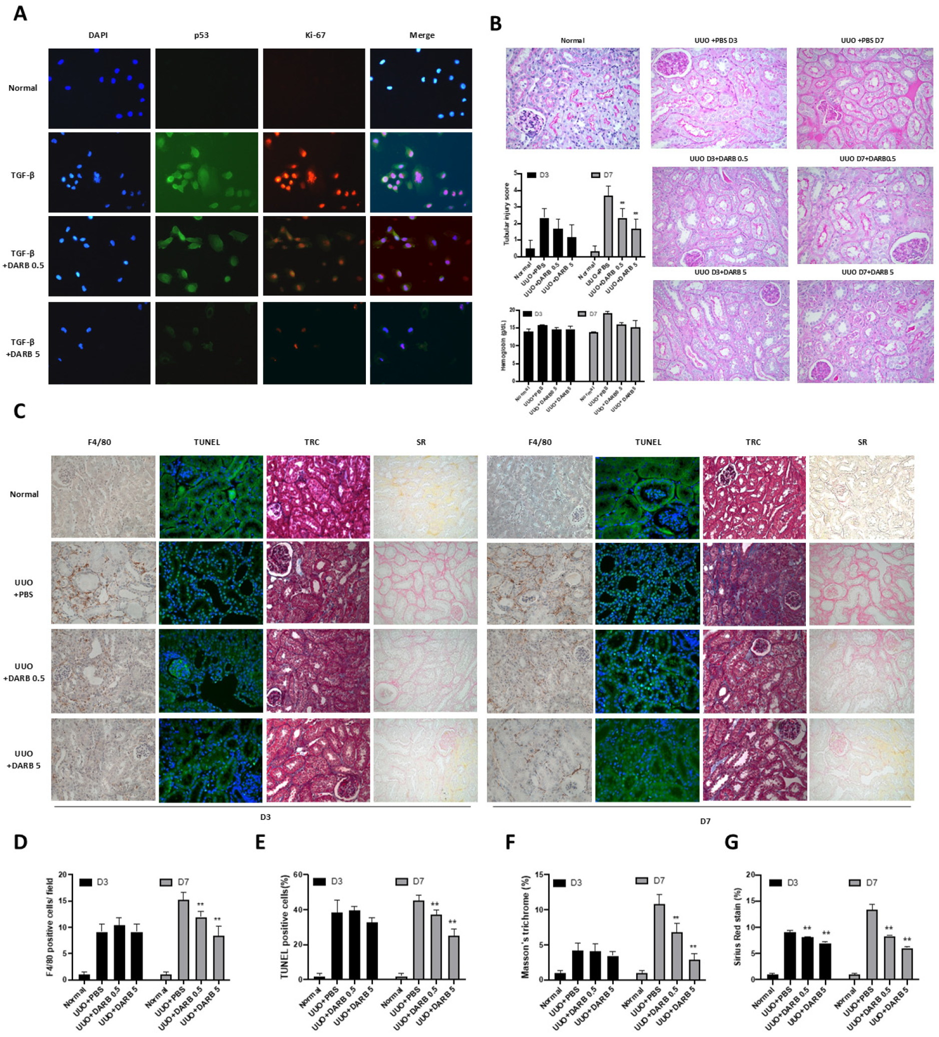 Cells 14 01662 g002 Cells 14 01662 g002