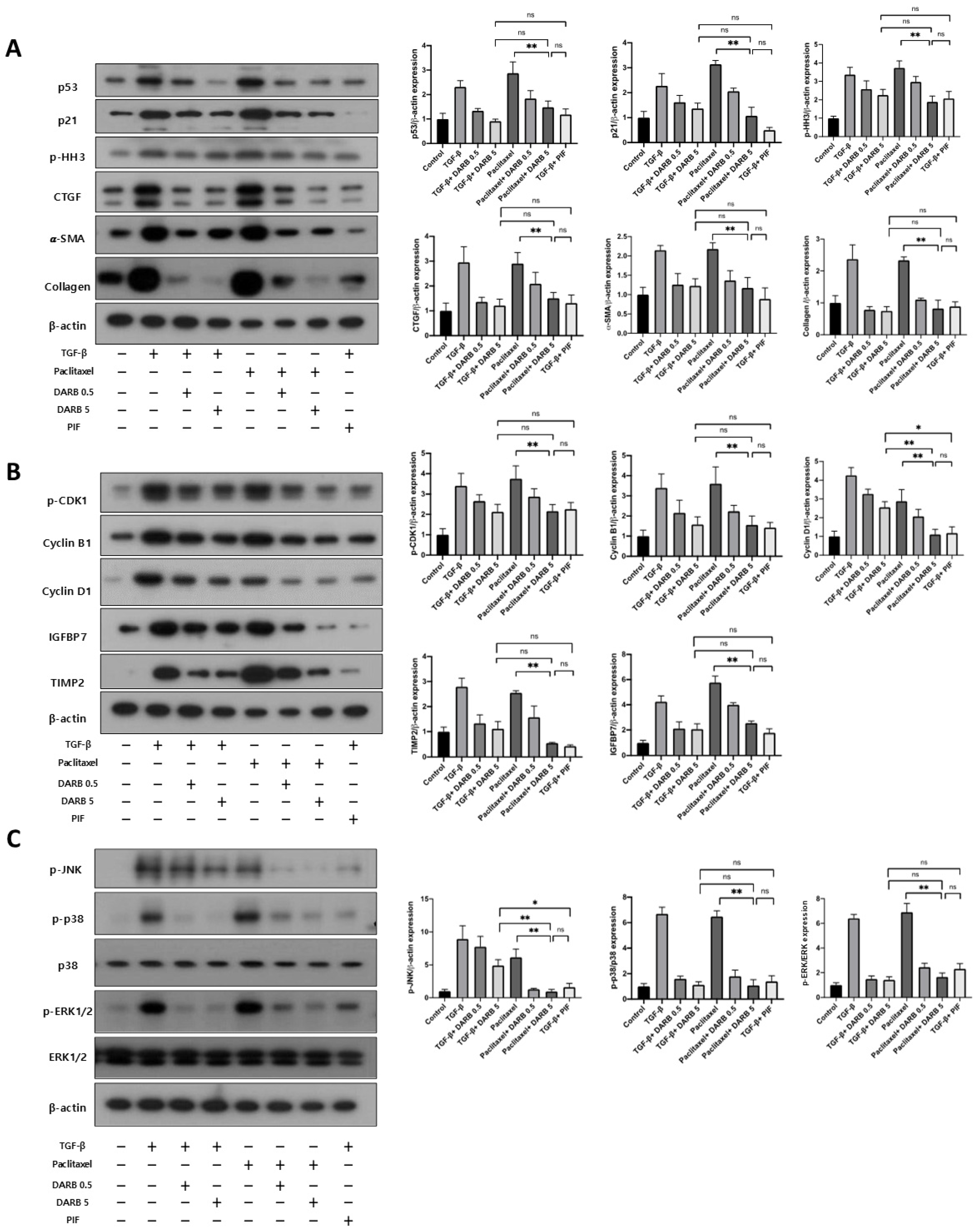 Cells 14 01662 g006 Cells 14 01662 g006
