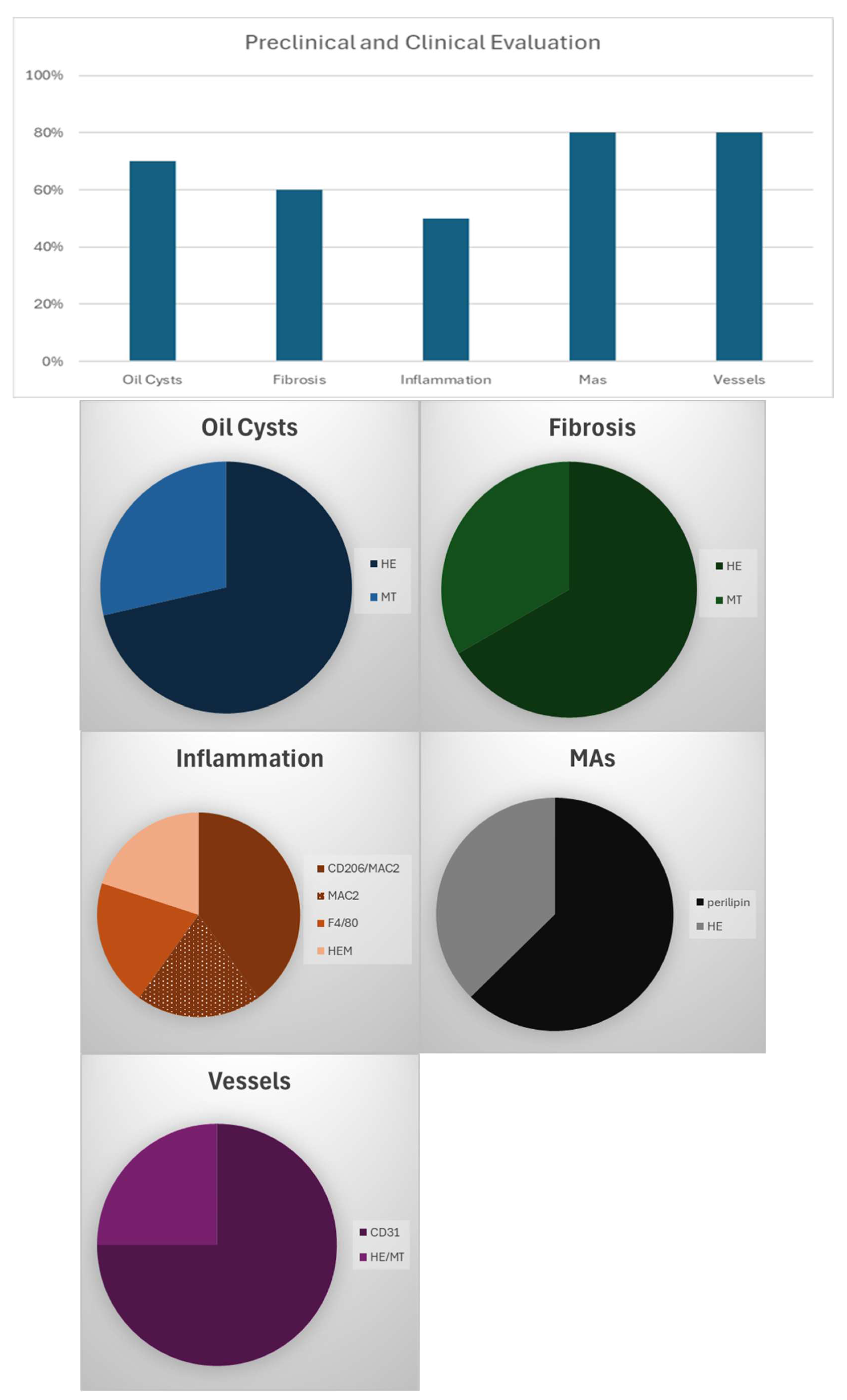 Cells 14 01664 g003 Cells 14 01664 g003