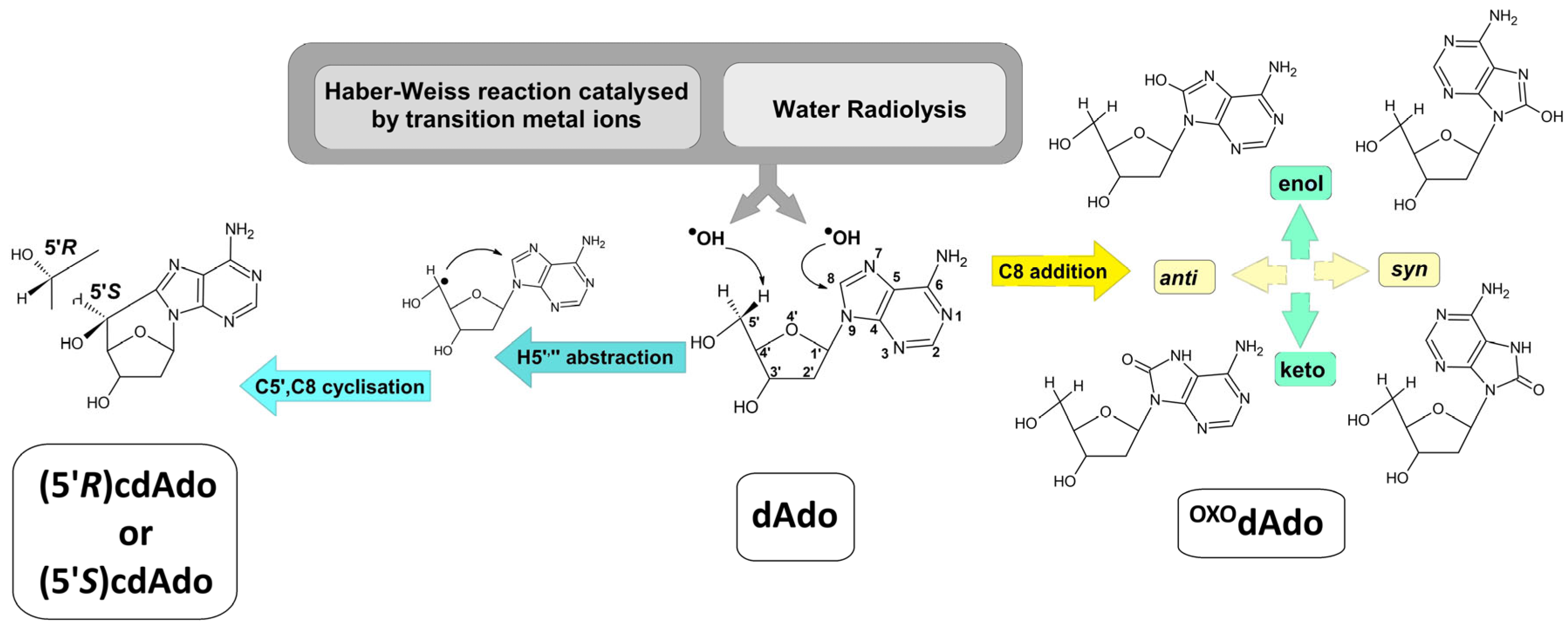 Cells 14 01665 g001 Cells 14 01665 g001