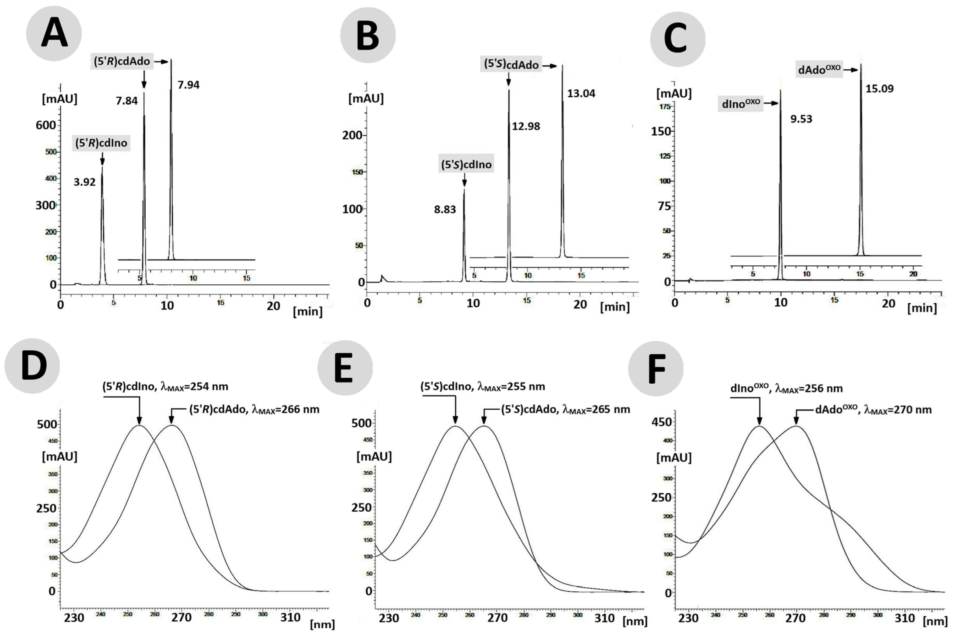 Cells 14 01665 g004 Cells 14 01665 g004