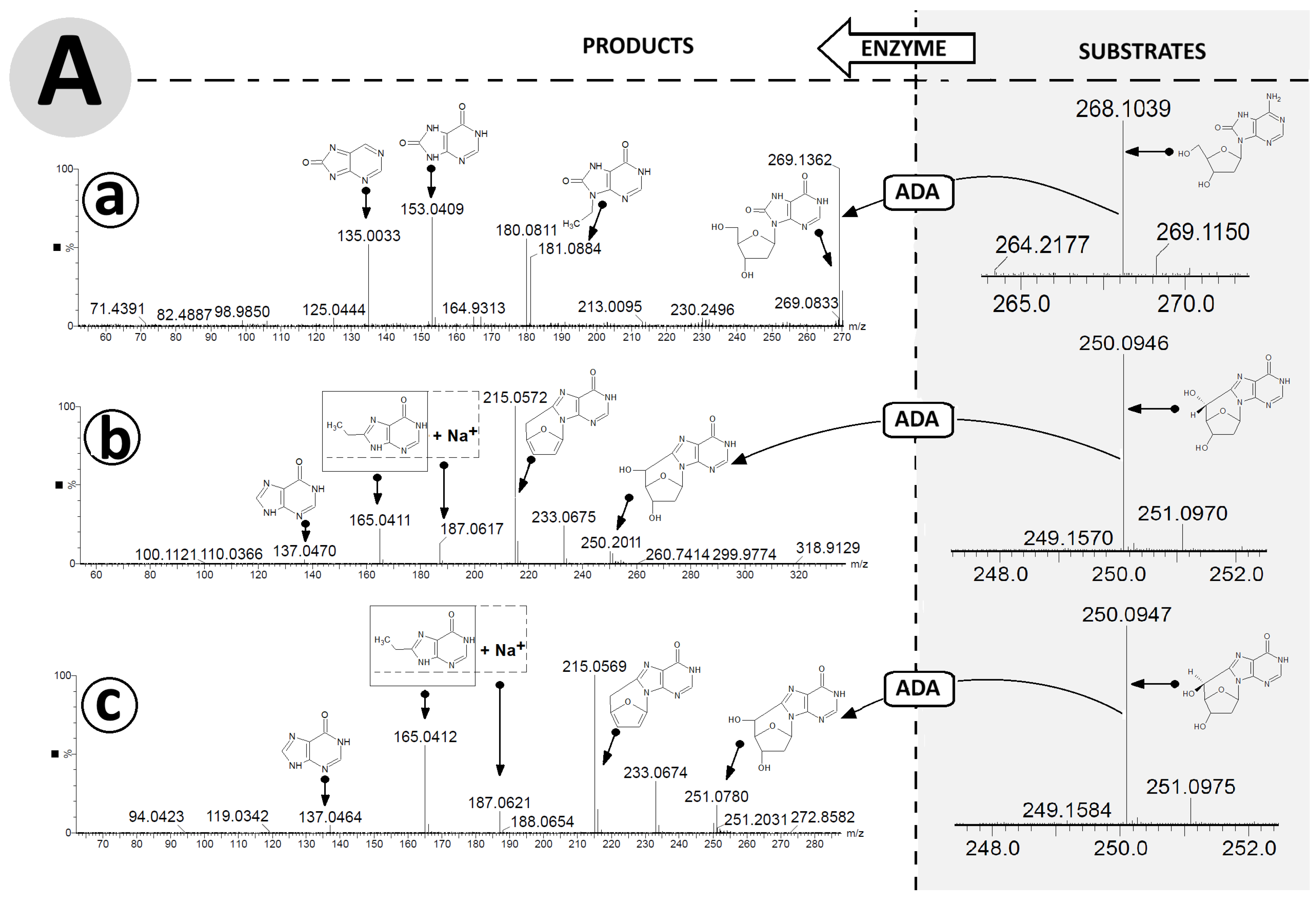 Cells 14 01665 g005a Cells 14 01665 g005a