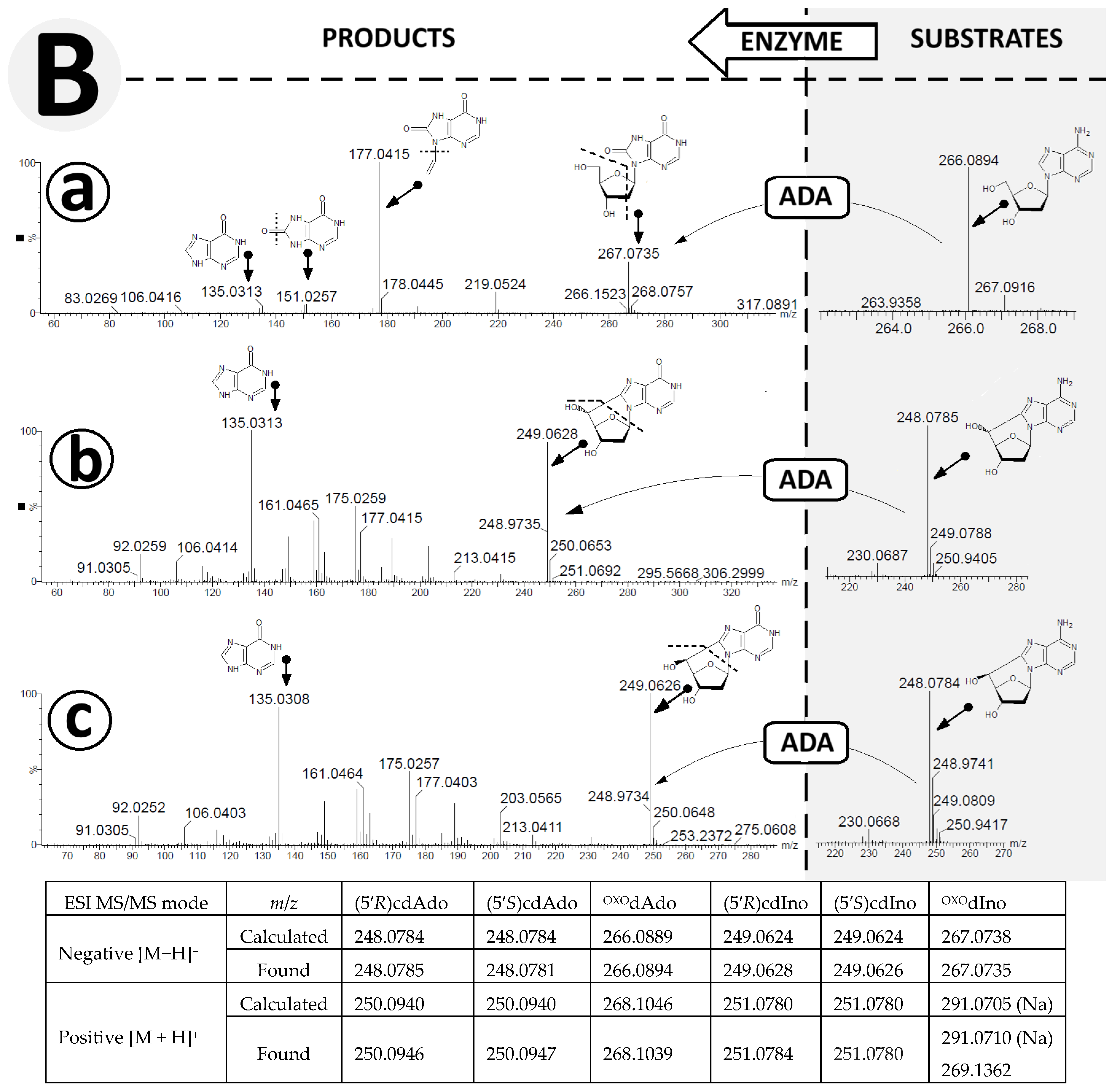 Cells 14 01665 g005b Cells 14 01665 g005b