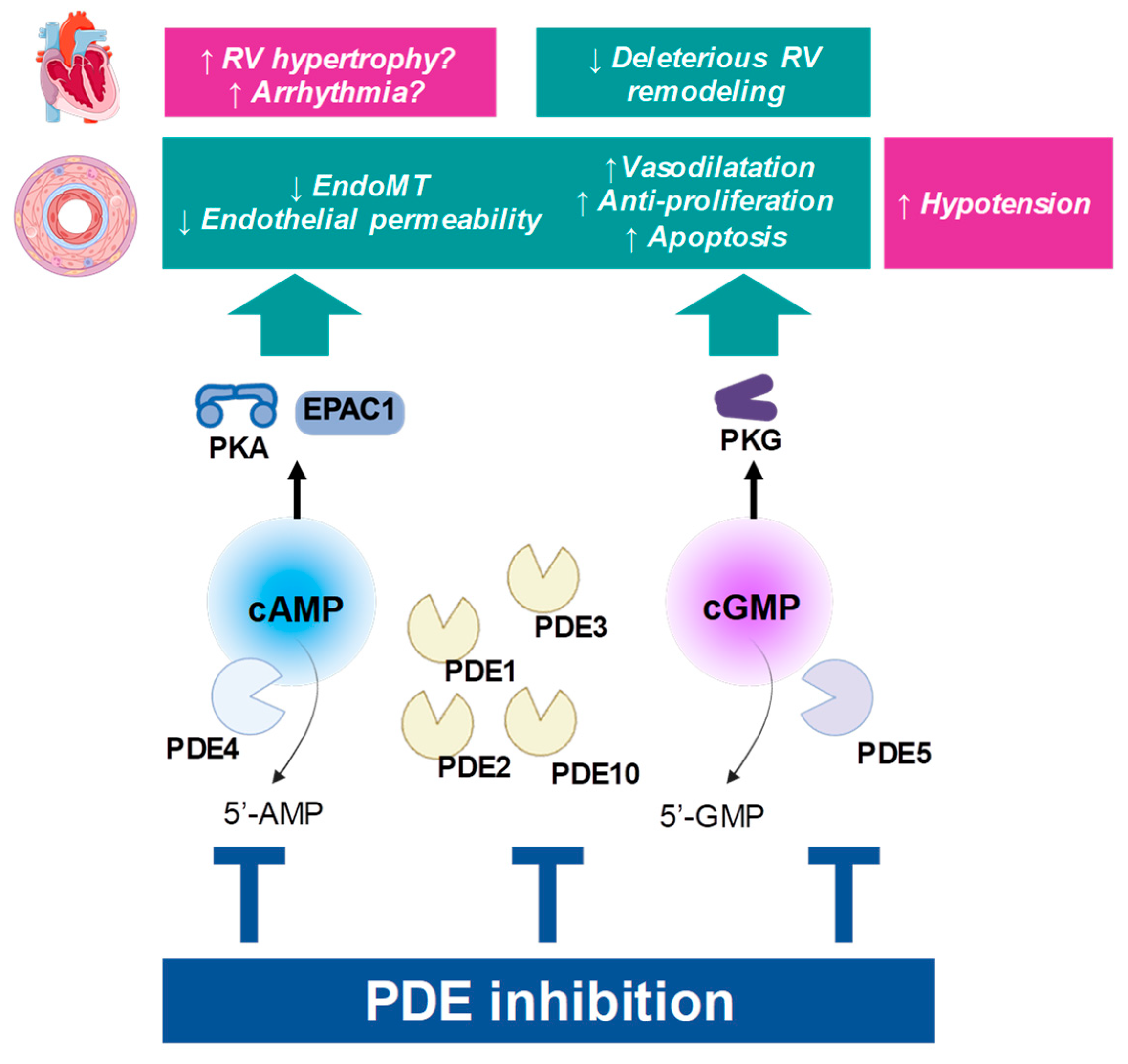 Cells 14 01670 g002 Cells 14 01670 g002
