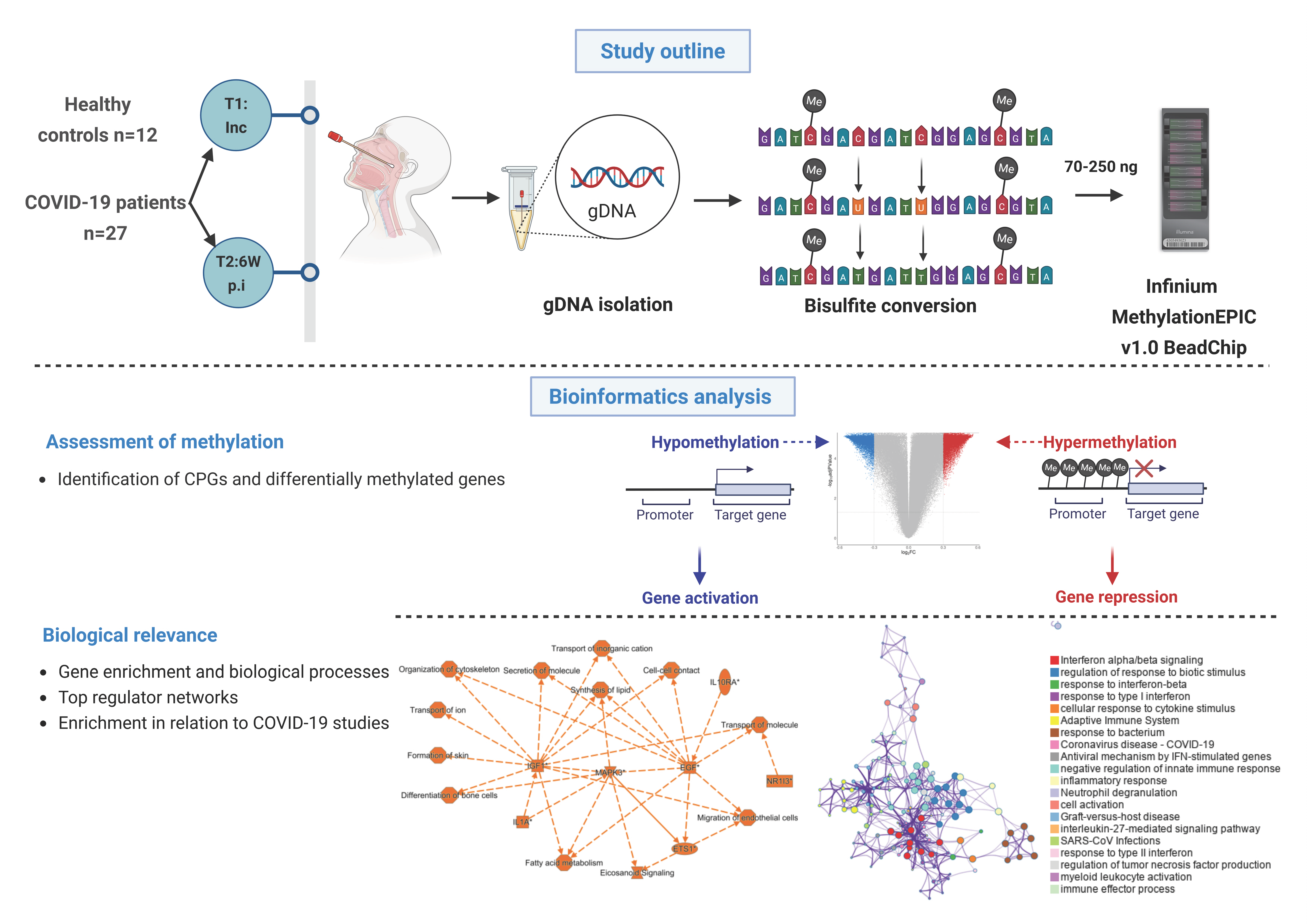 Cells 14 01673 g001 Cells 14 01673 g001