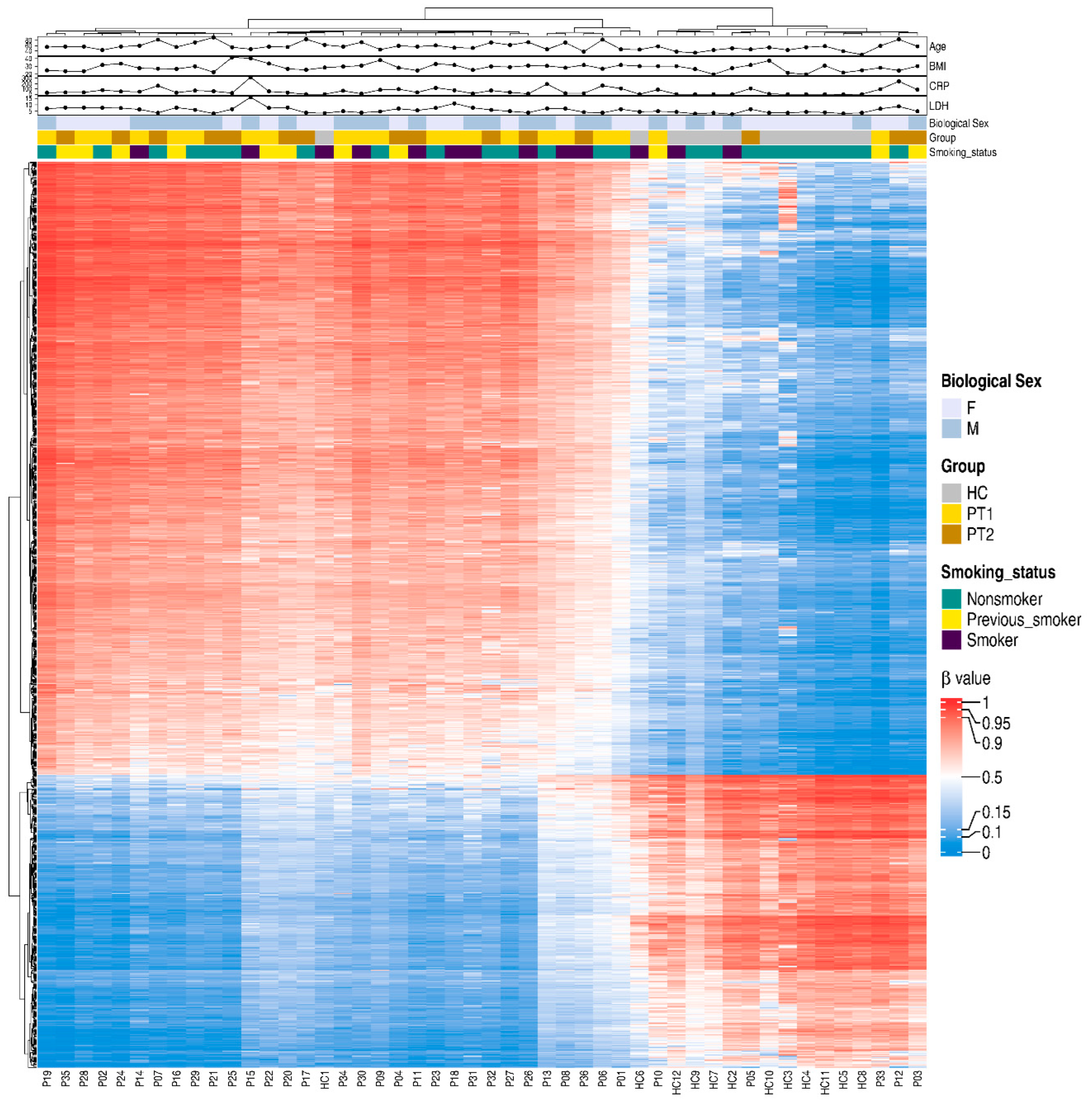 Cells 14 01673 g005 Cells 14 01673 g005