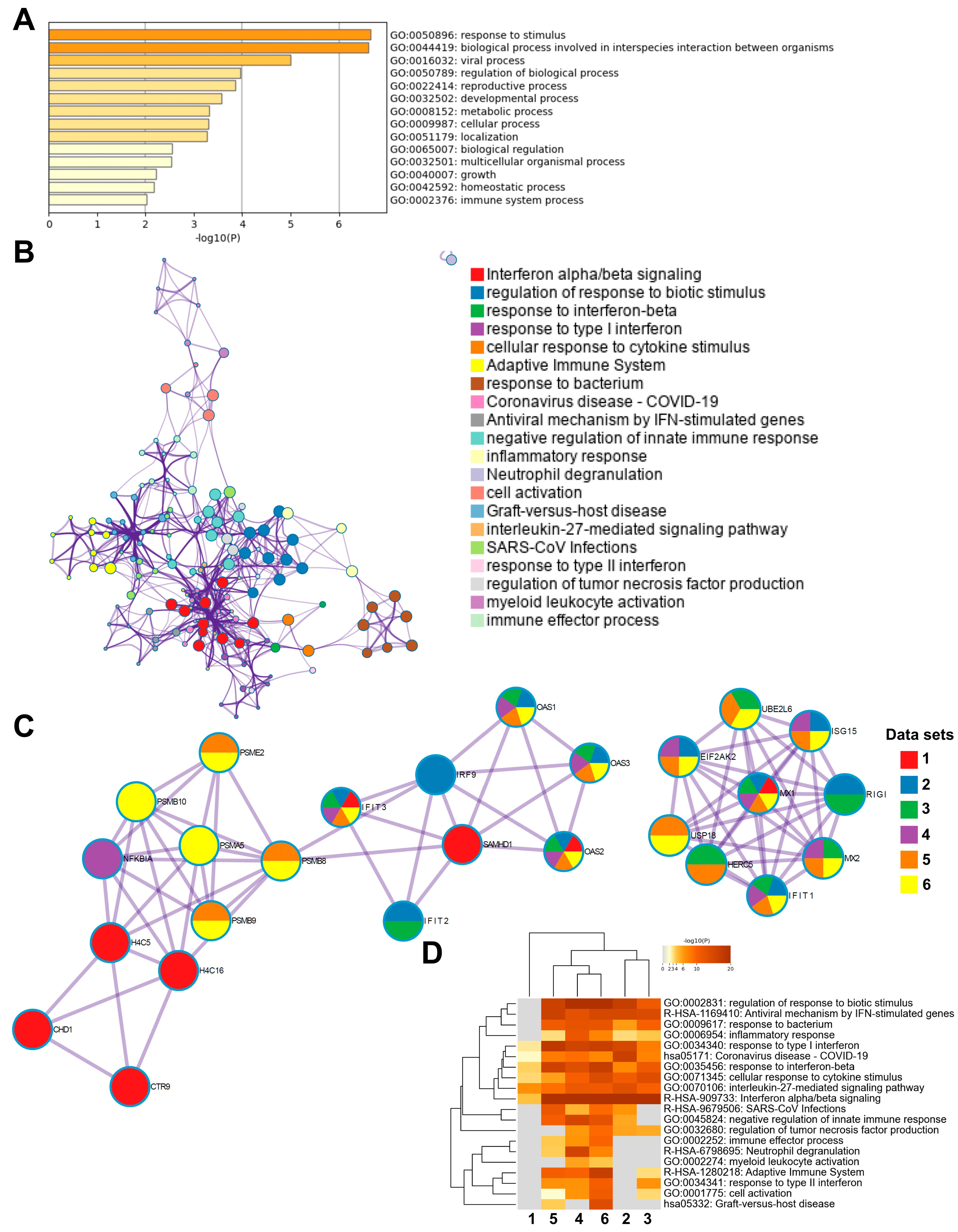 Cells 14 01673 g006 Cells 14 01673 g006