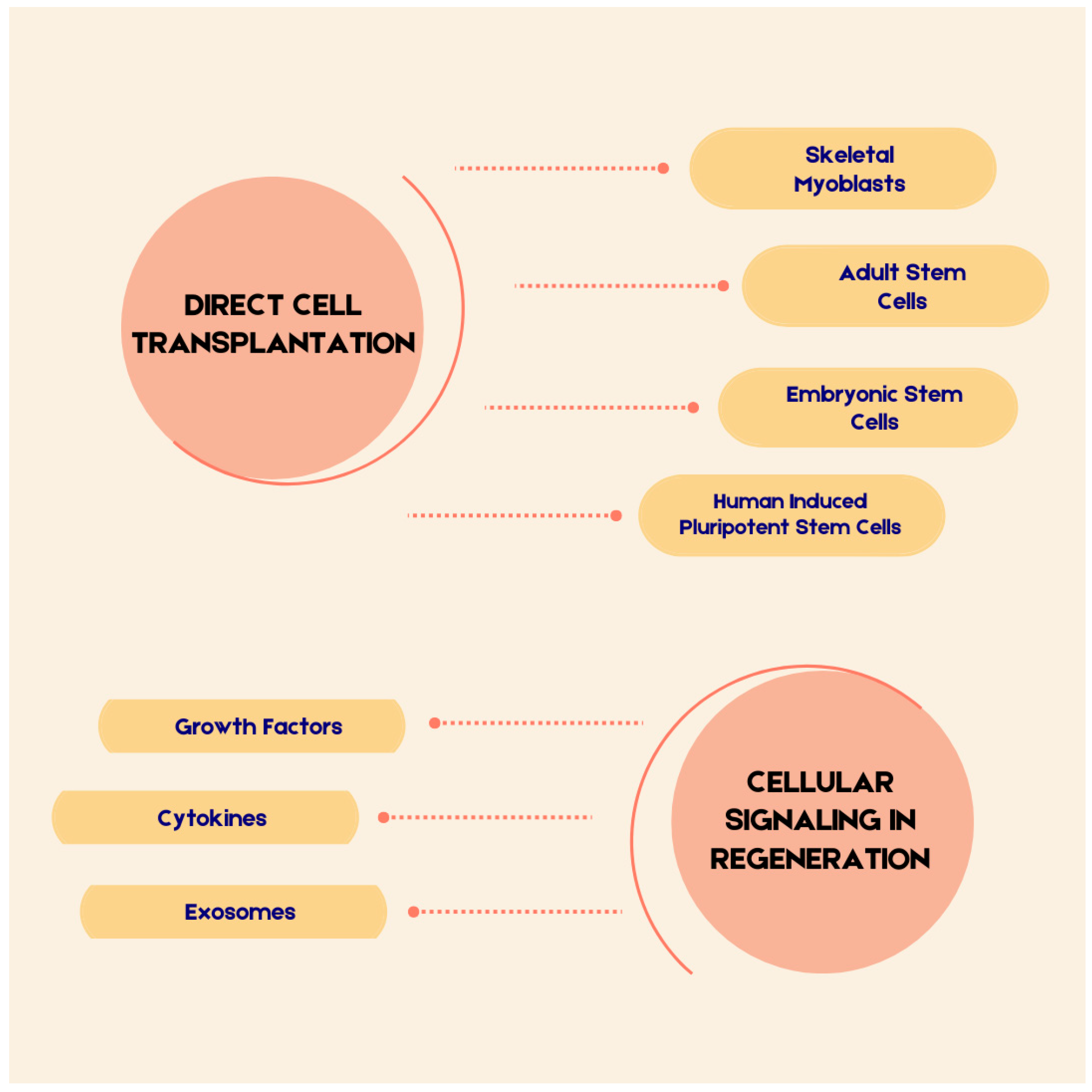 Cells 14 01674 g001 Cells 14 01674 g001