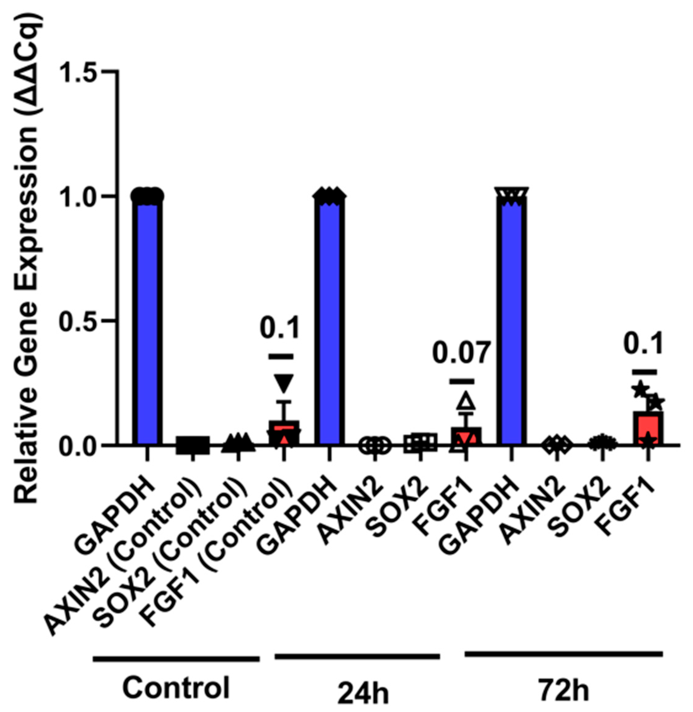 Cells 14 01680 g006 Cells 14 01680 g006