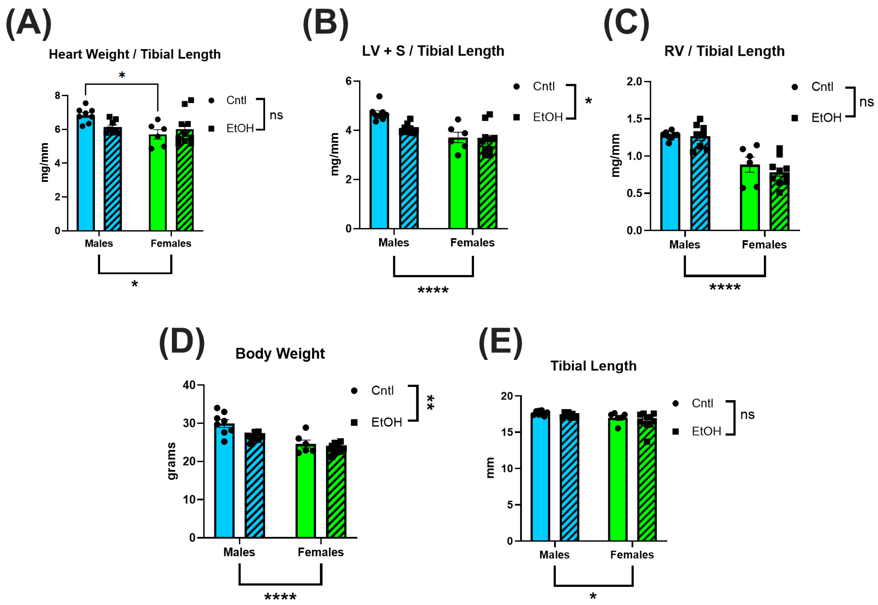 Cells 14 01682 g001 Cells 14 01682 g001