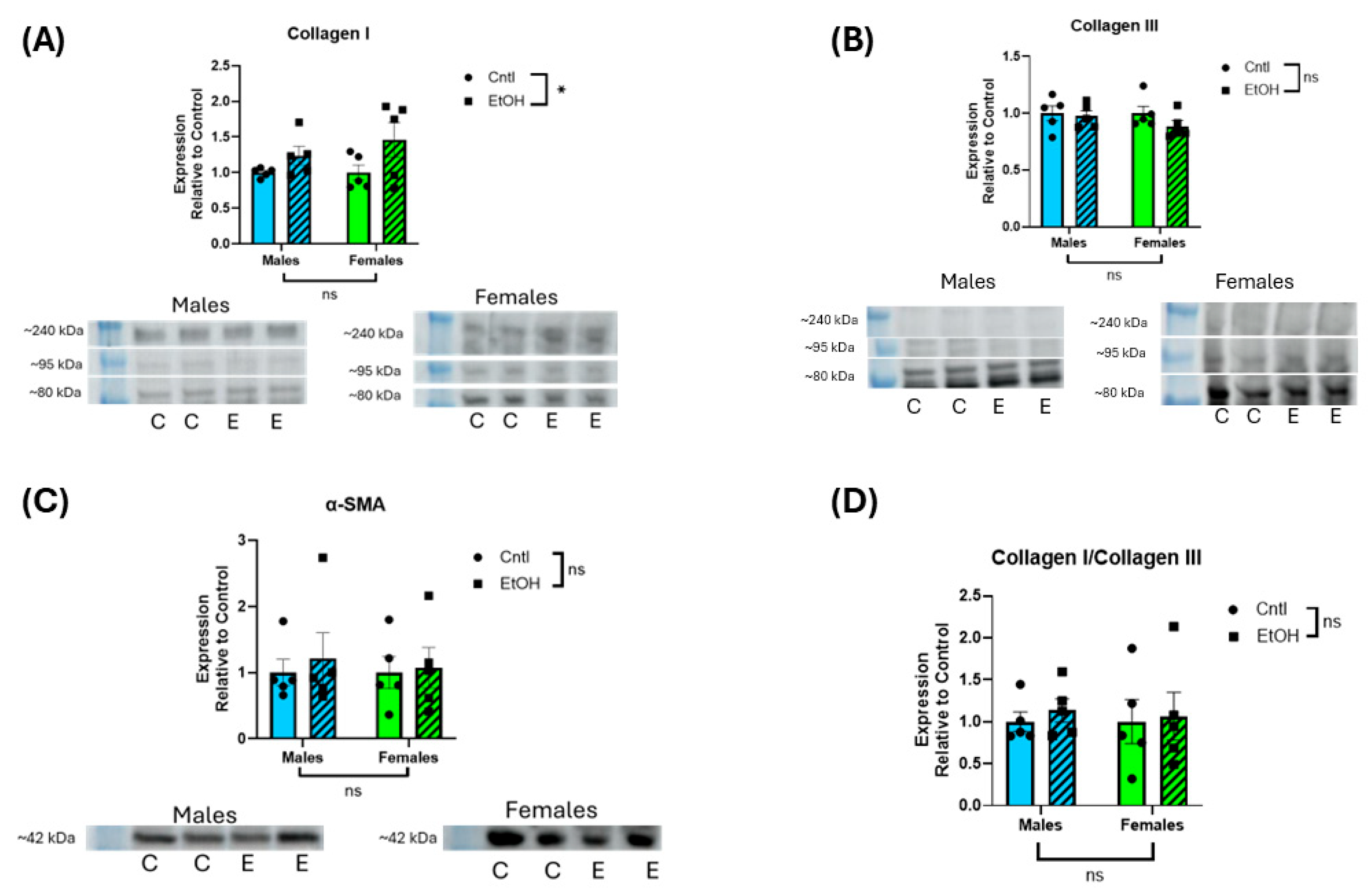 Cells 14 01682 g006 Cells 14 01682 g006