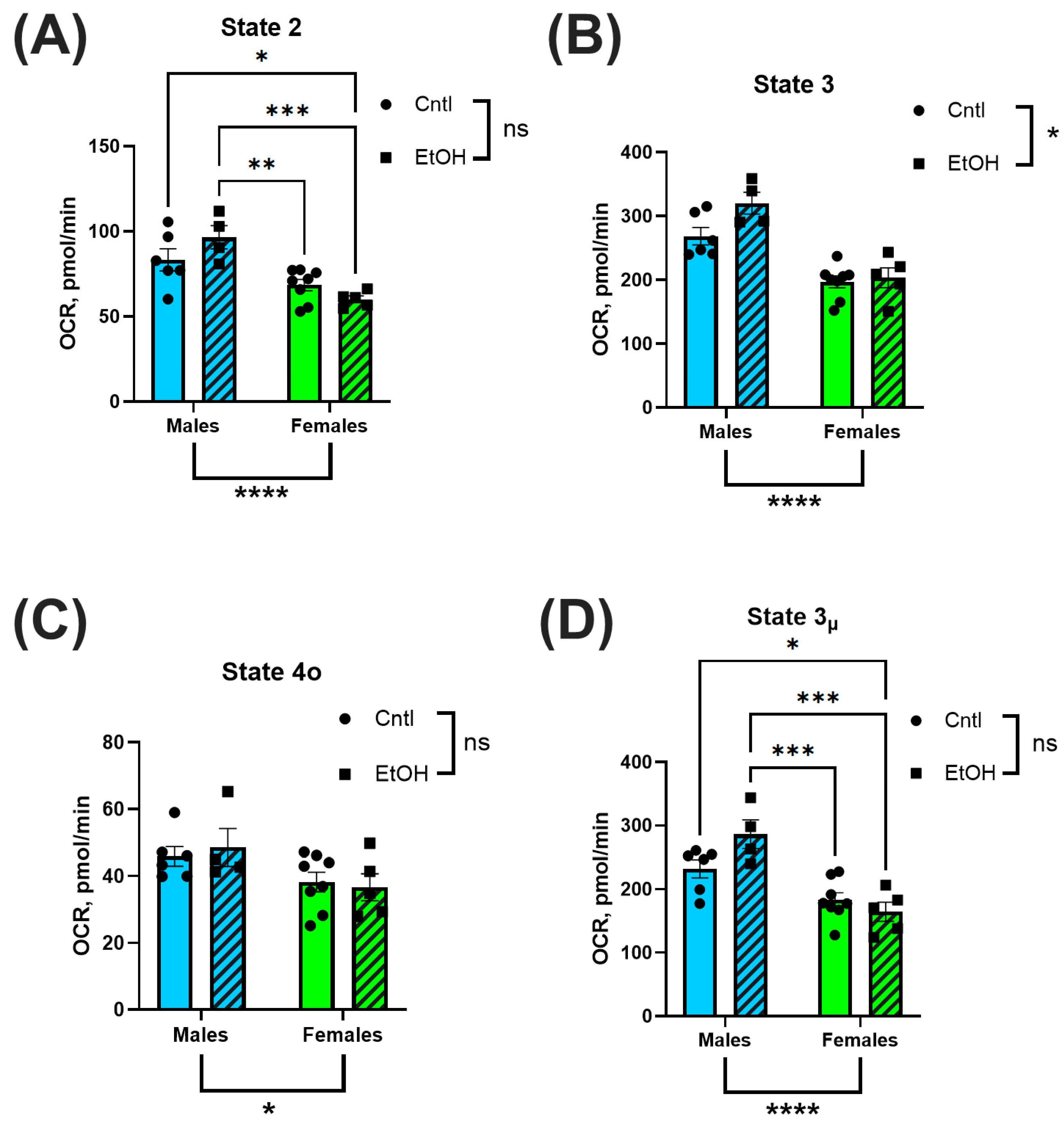 Cells 14 01682 g007 Cells 14 01682 g007