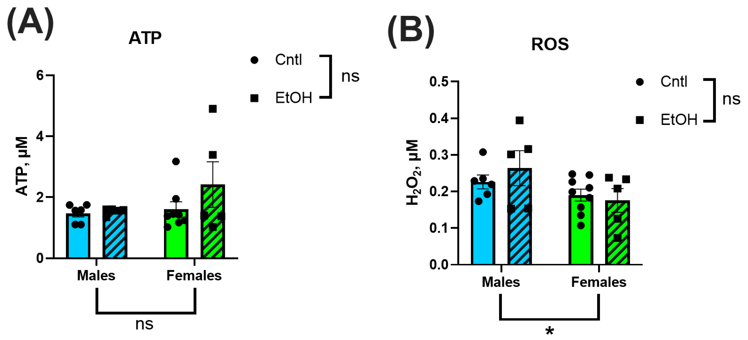 Cells 14 01682 g008 Cells 14 01682 g008