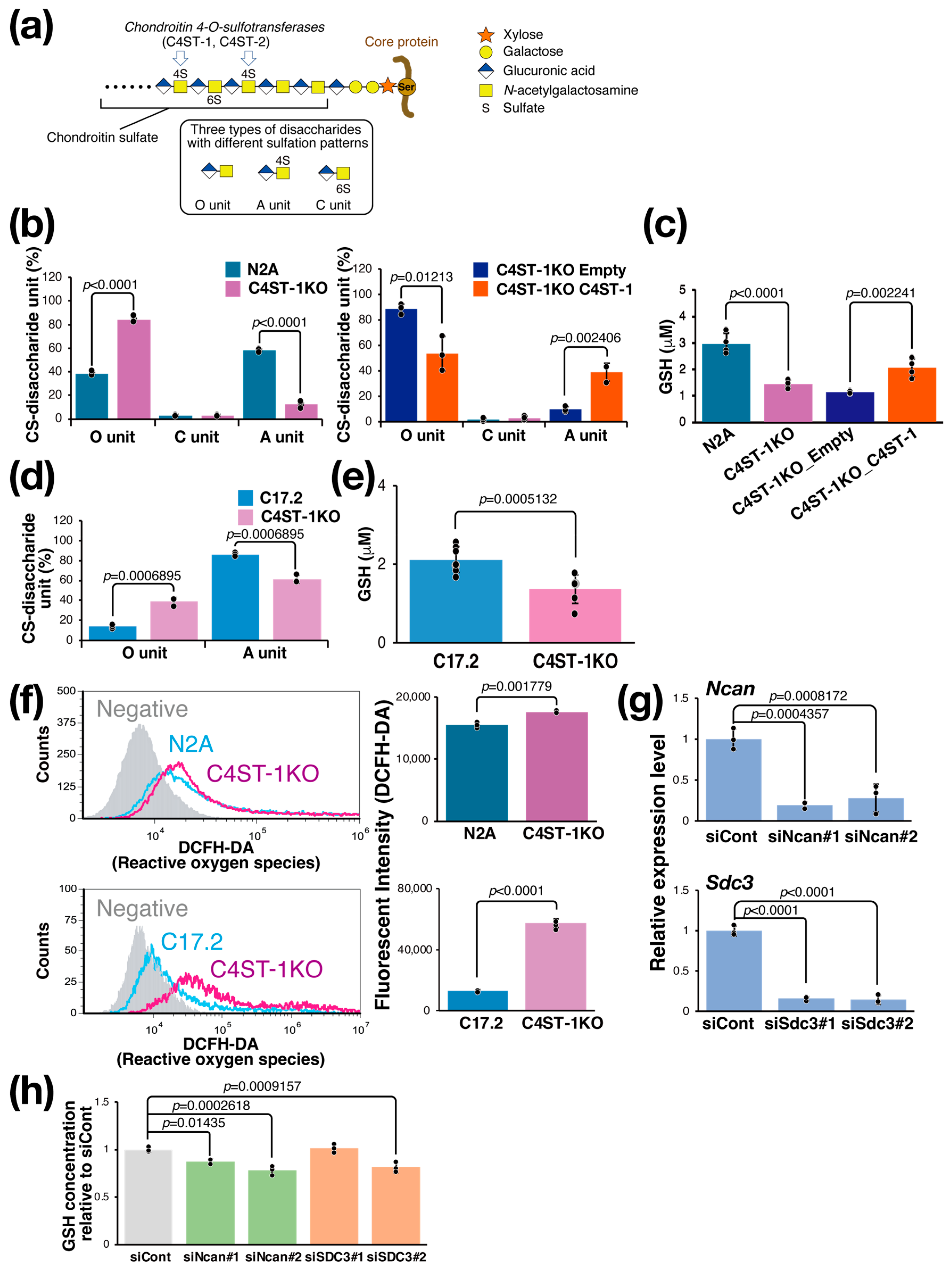 Cells 14 01686 g001 Cells 14 01686 g001