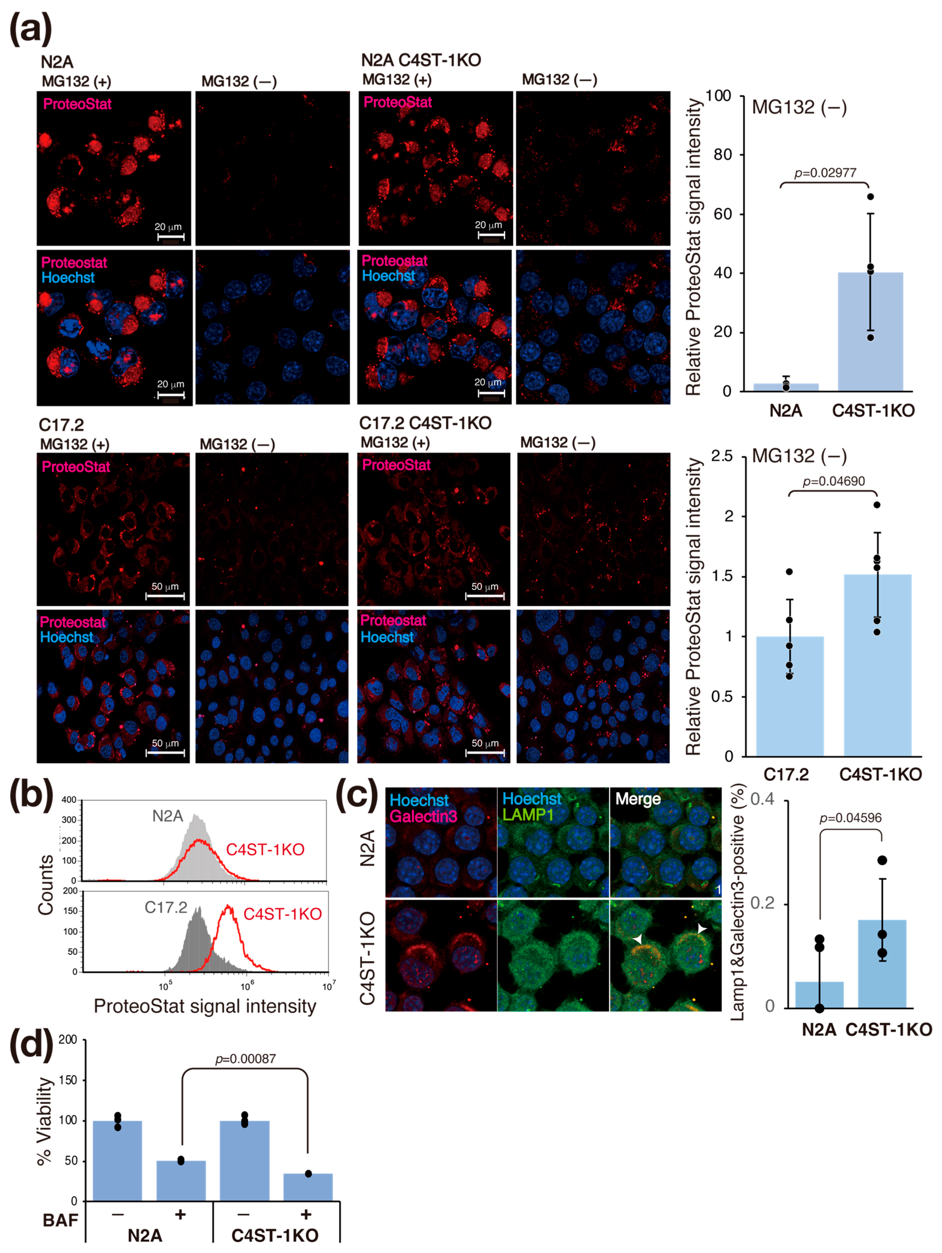Cells 14 01686 g003 Cells 14 01686 g003
