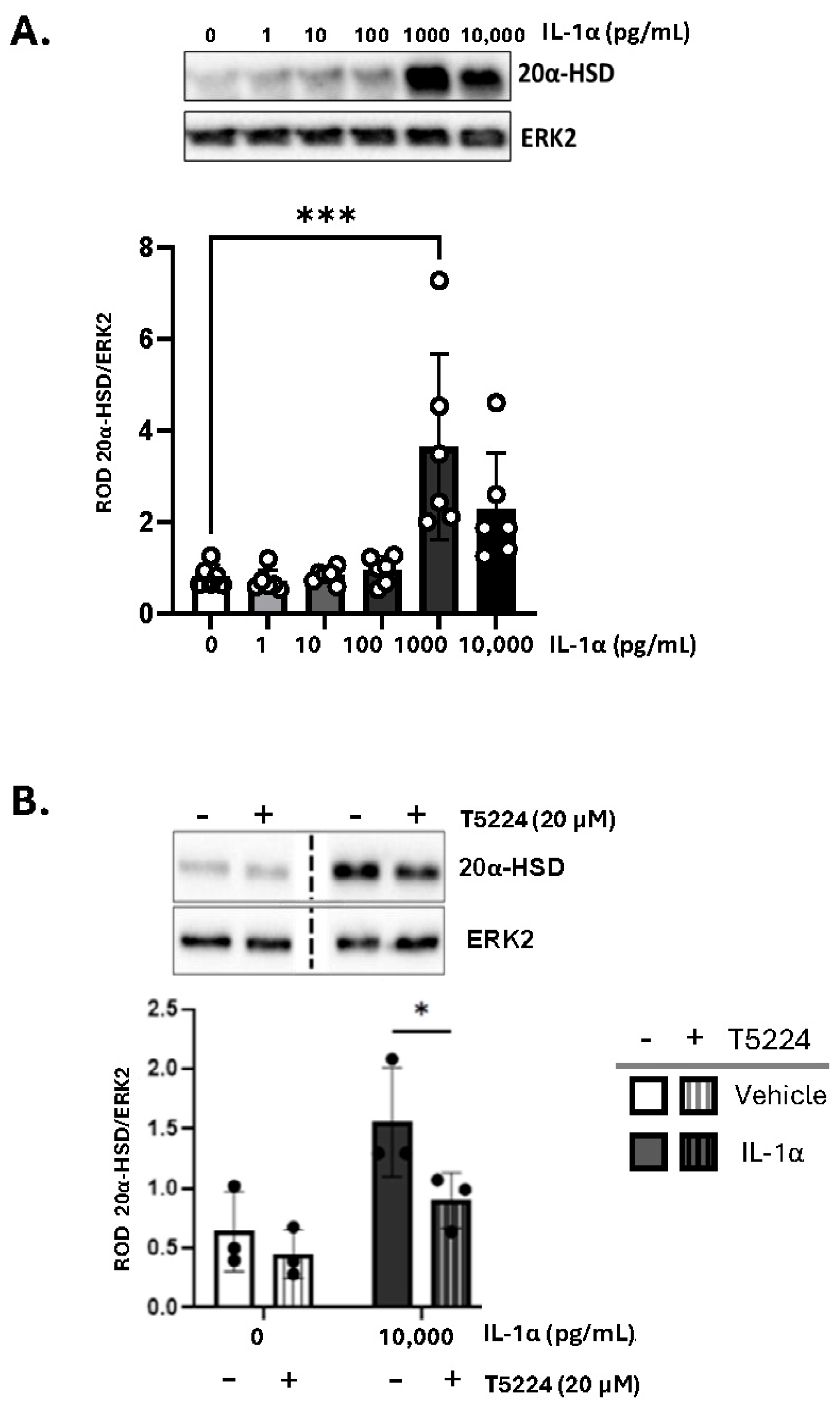 Cells 14 01692 g003 Cells 14 01692 g003