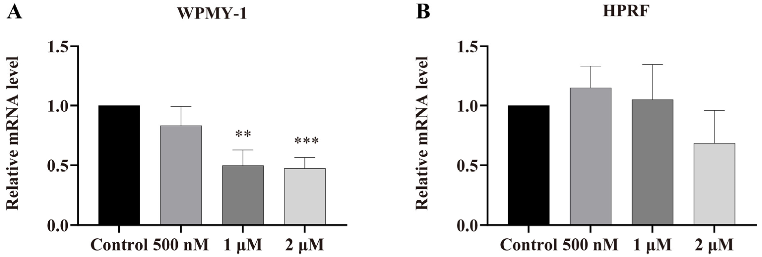 Cells 14 01706 g009 Cells 14 01706 g009