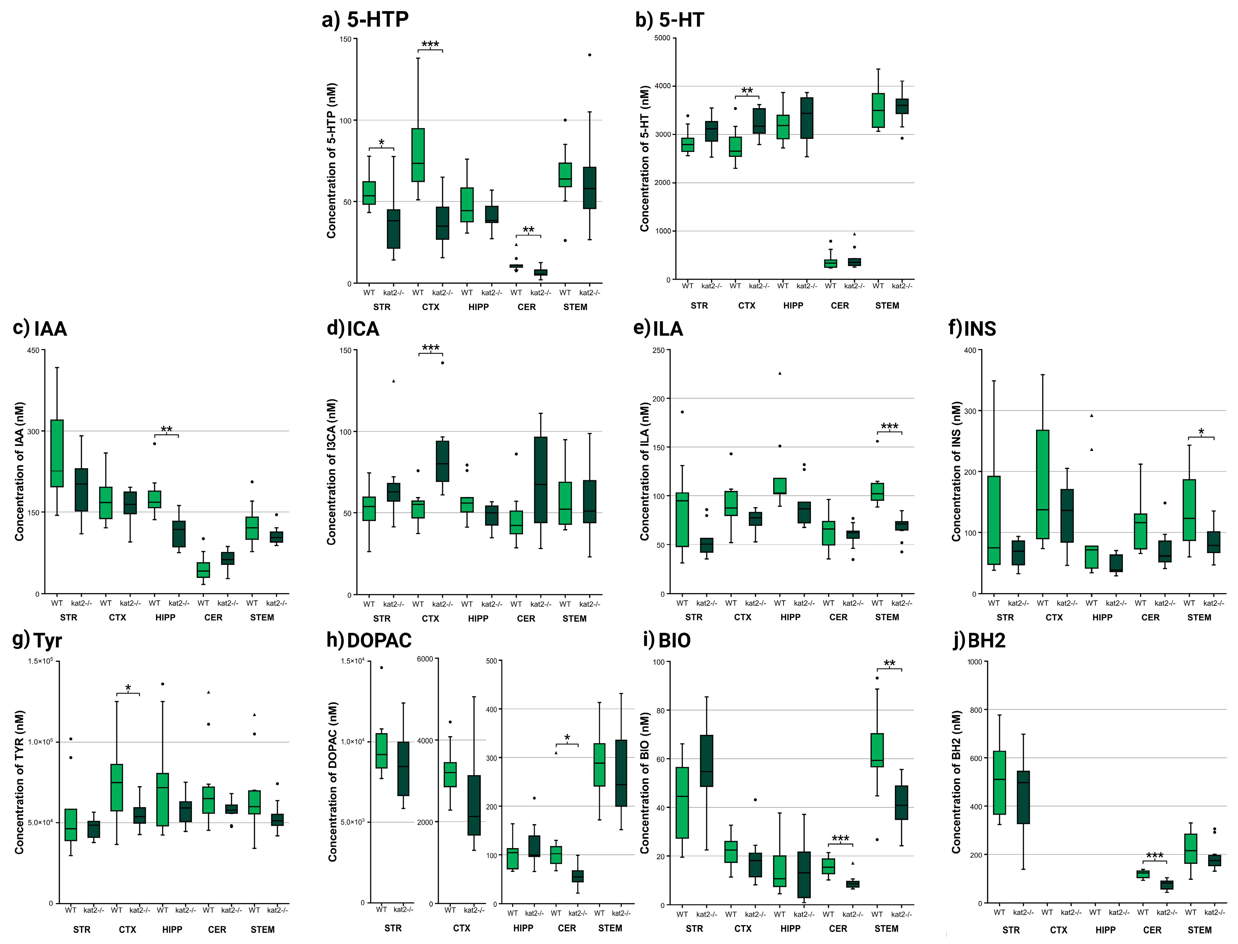 Cells 14 01711 g004 Cells 14 01711 g004