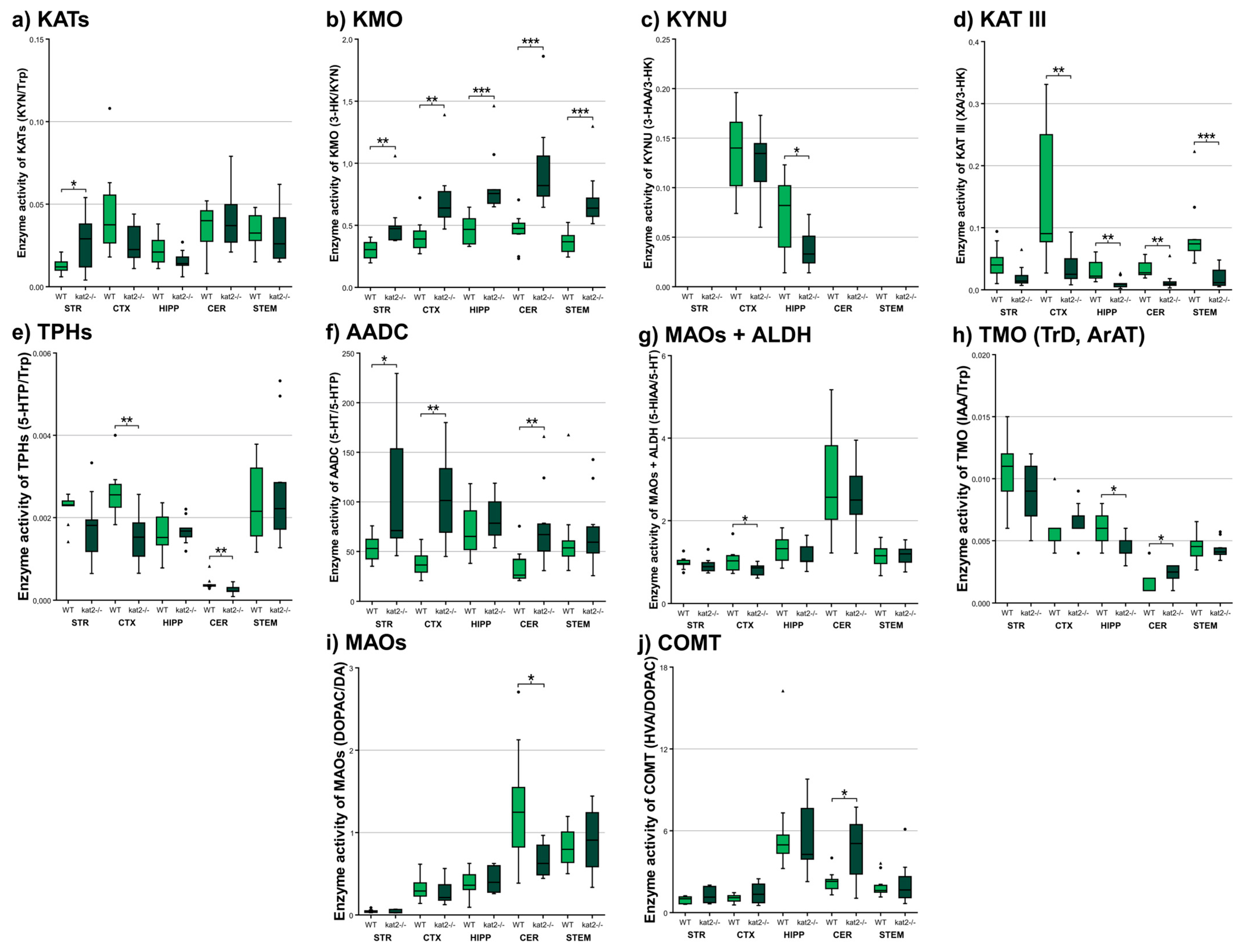 Cells 14 01711 g006 Cells 14 01711 g006