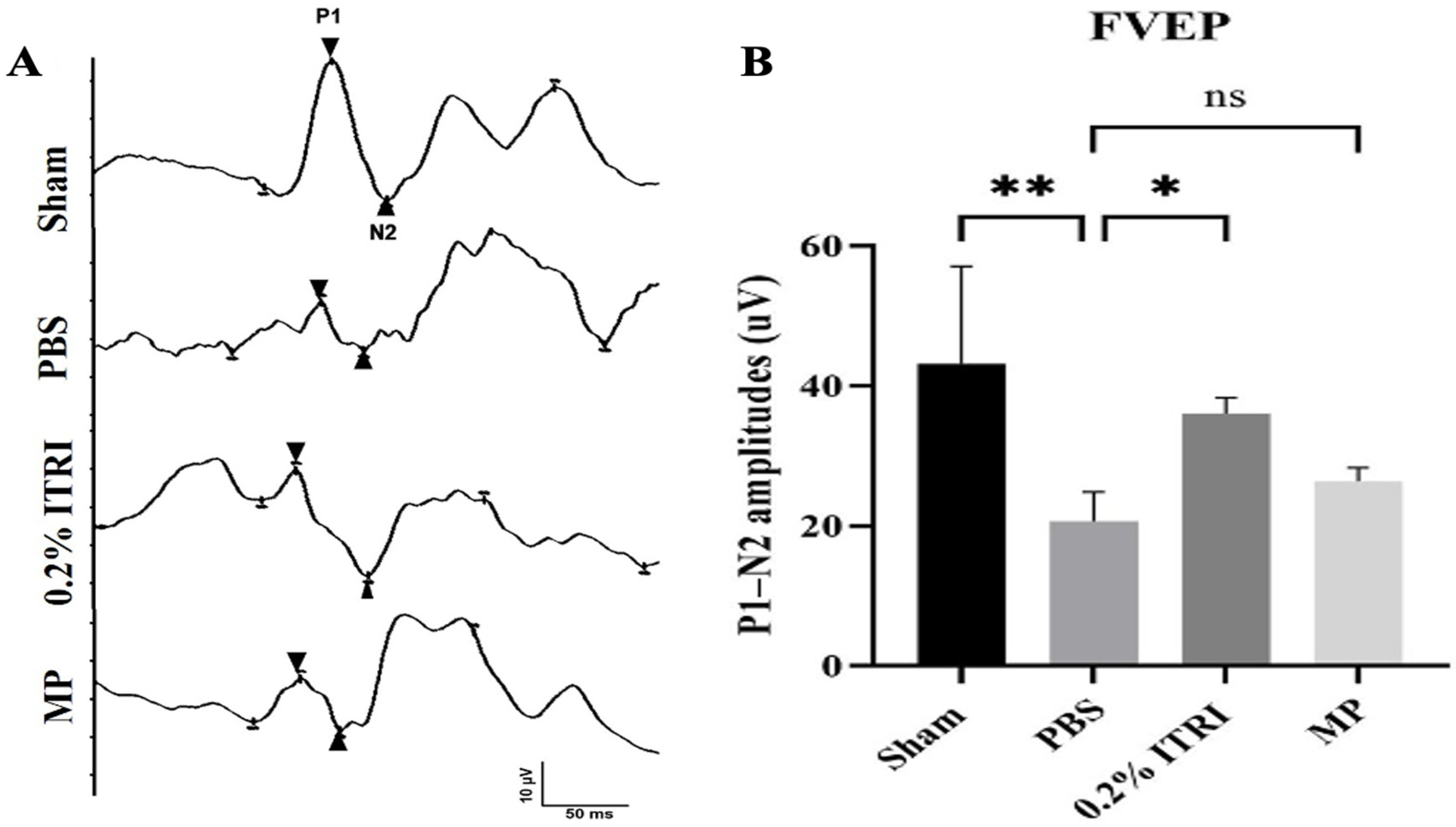 Cells 14 01712 g005 Cells 14 01712 g005