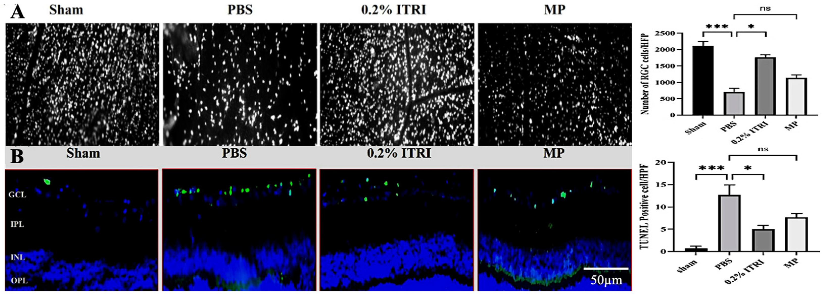 Cells 14 01712 g006 Cells 14 01712 g006