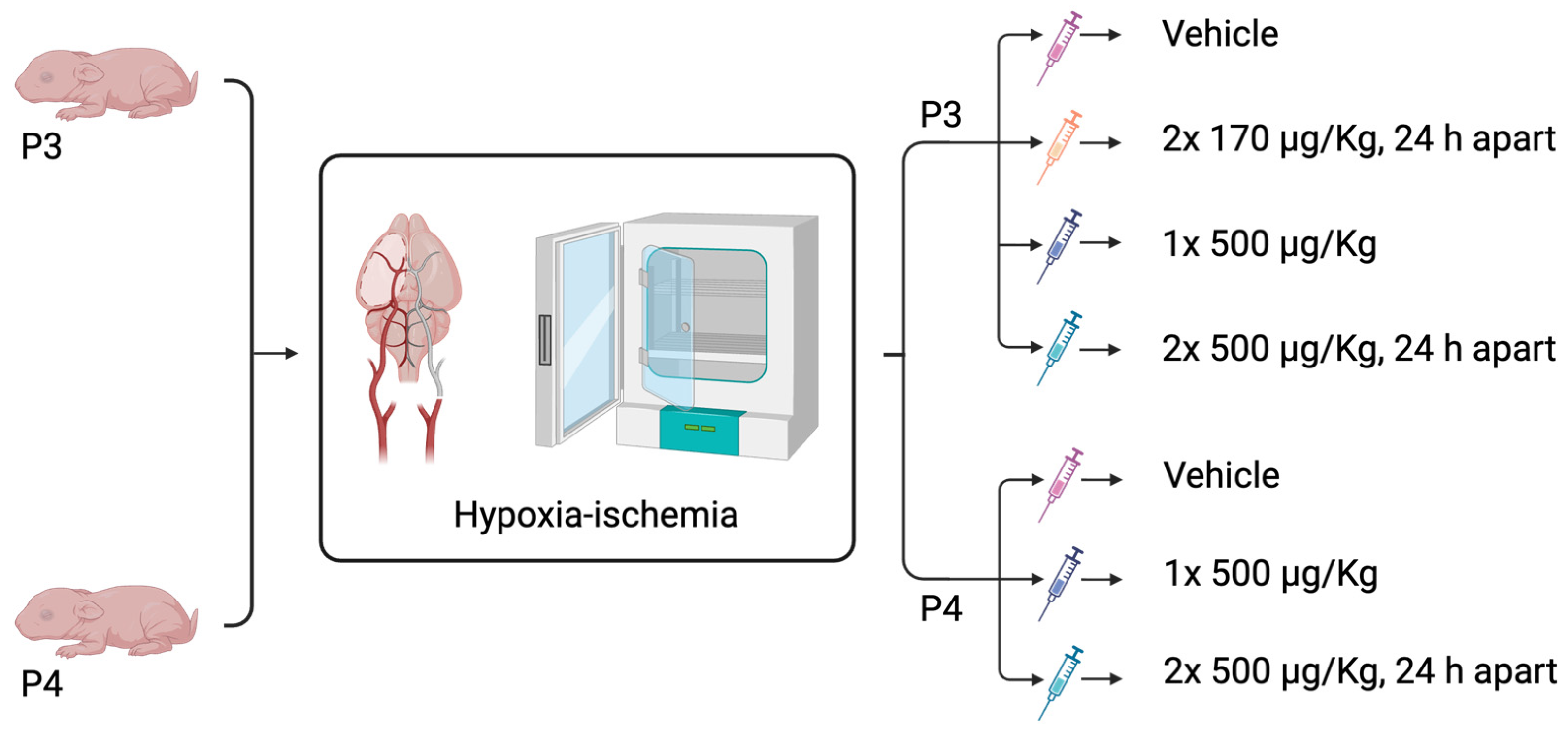 Cells 14 01715 g001 Cells 14 01715 g001