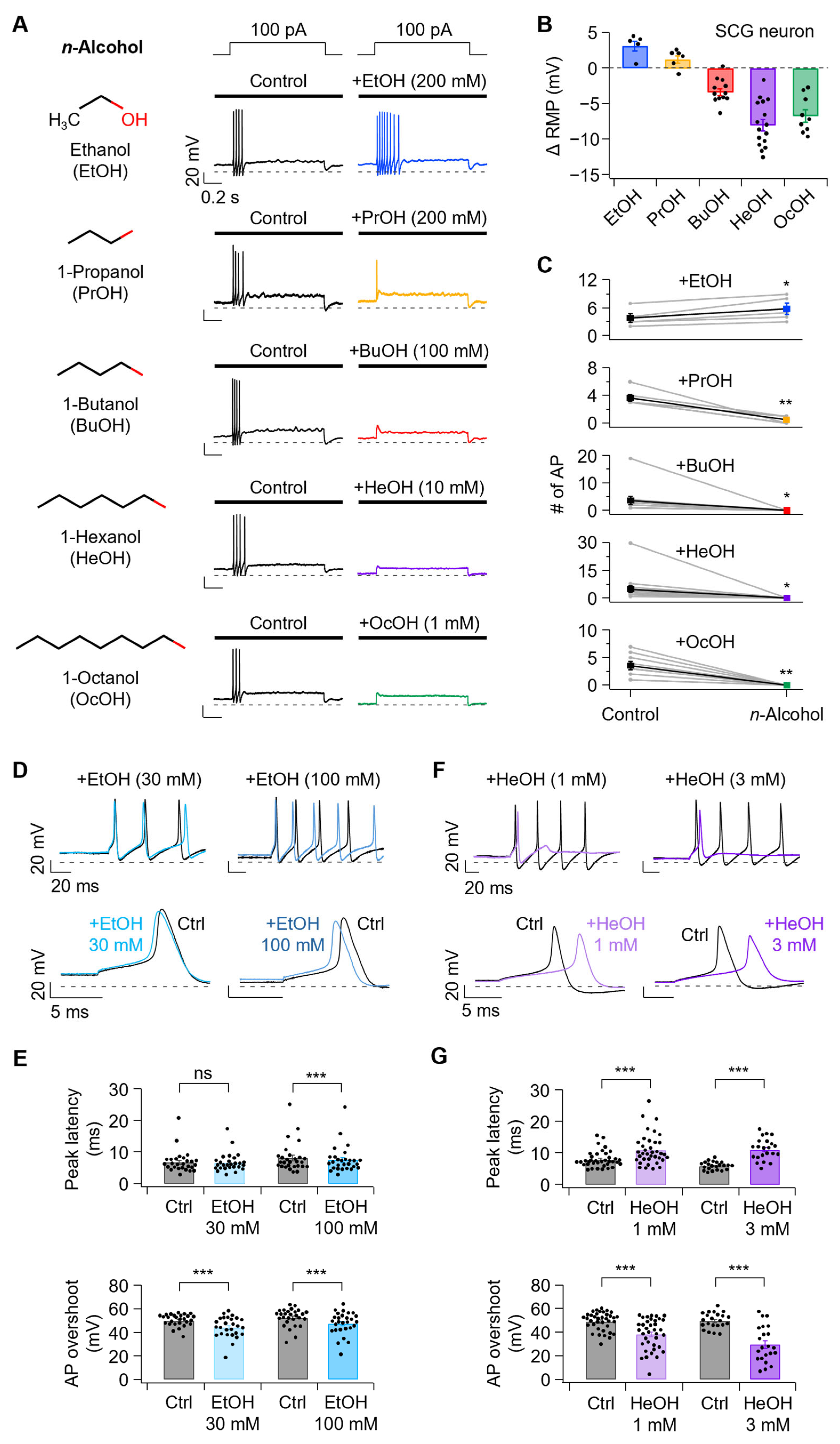 Cells 14 01723 g001 Cells 14 01723 g001