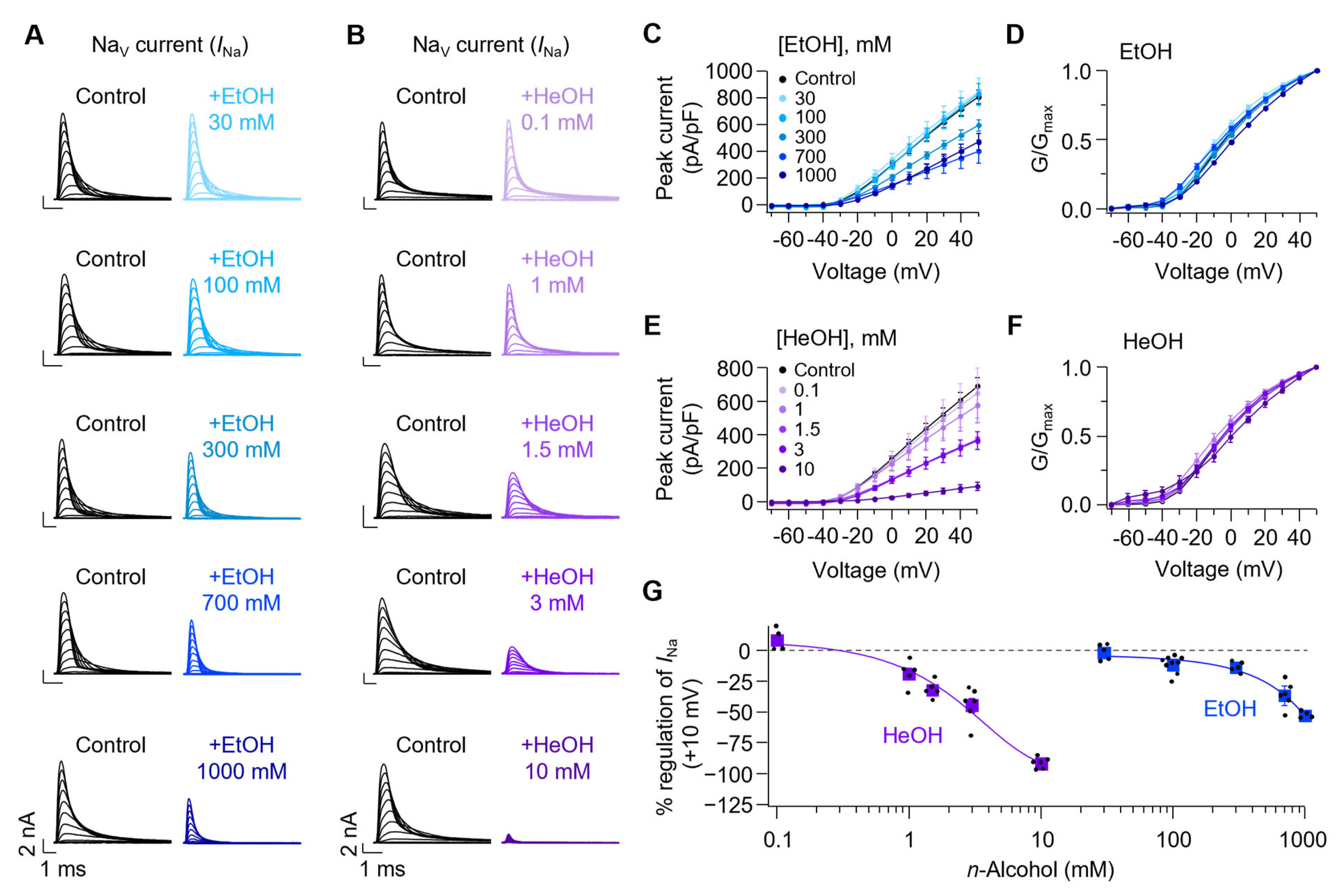 Cells 14 01723 g002 Cells 14 01723 g002