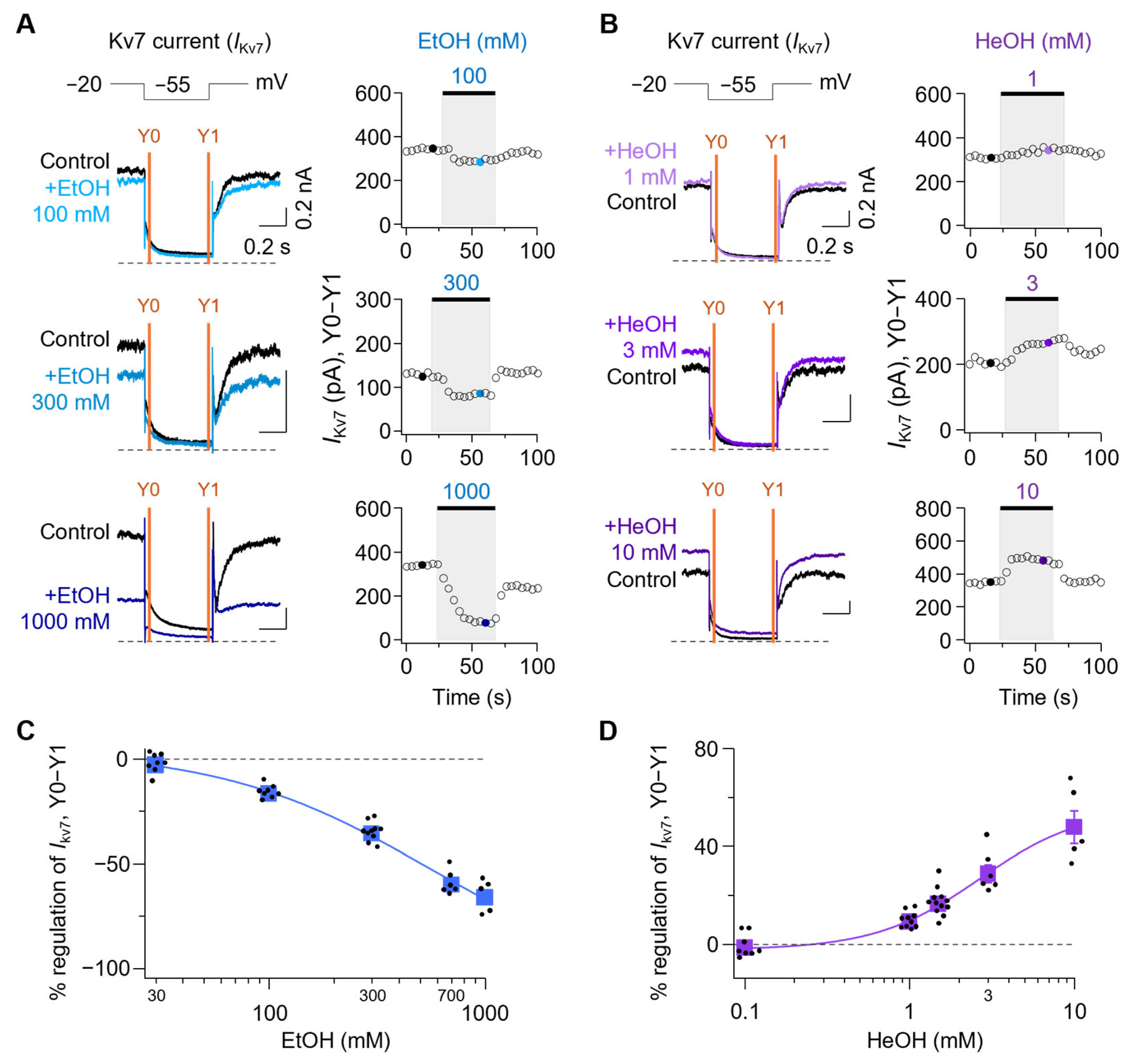 Cells 14 01723 g003 Cells 14 01723 g003