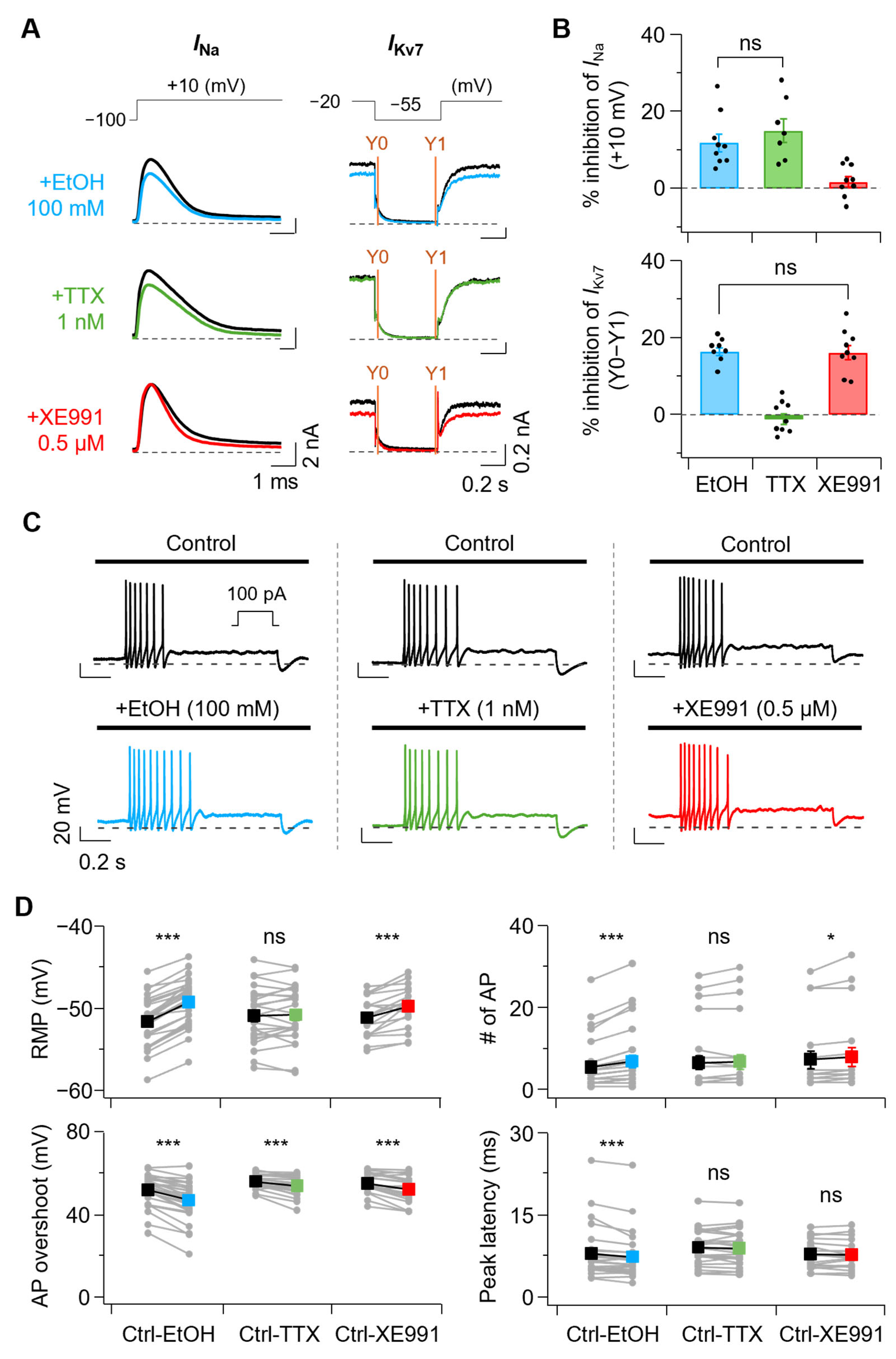 Cells 14 01723 g004 Cells 14 01723 g004