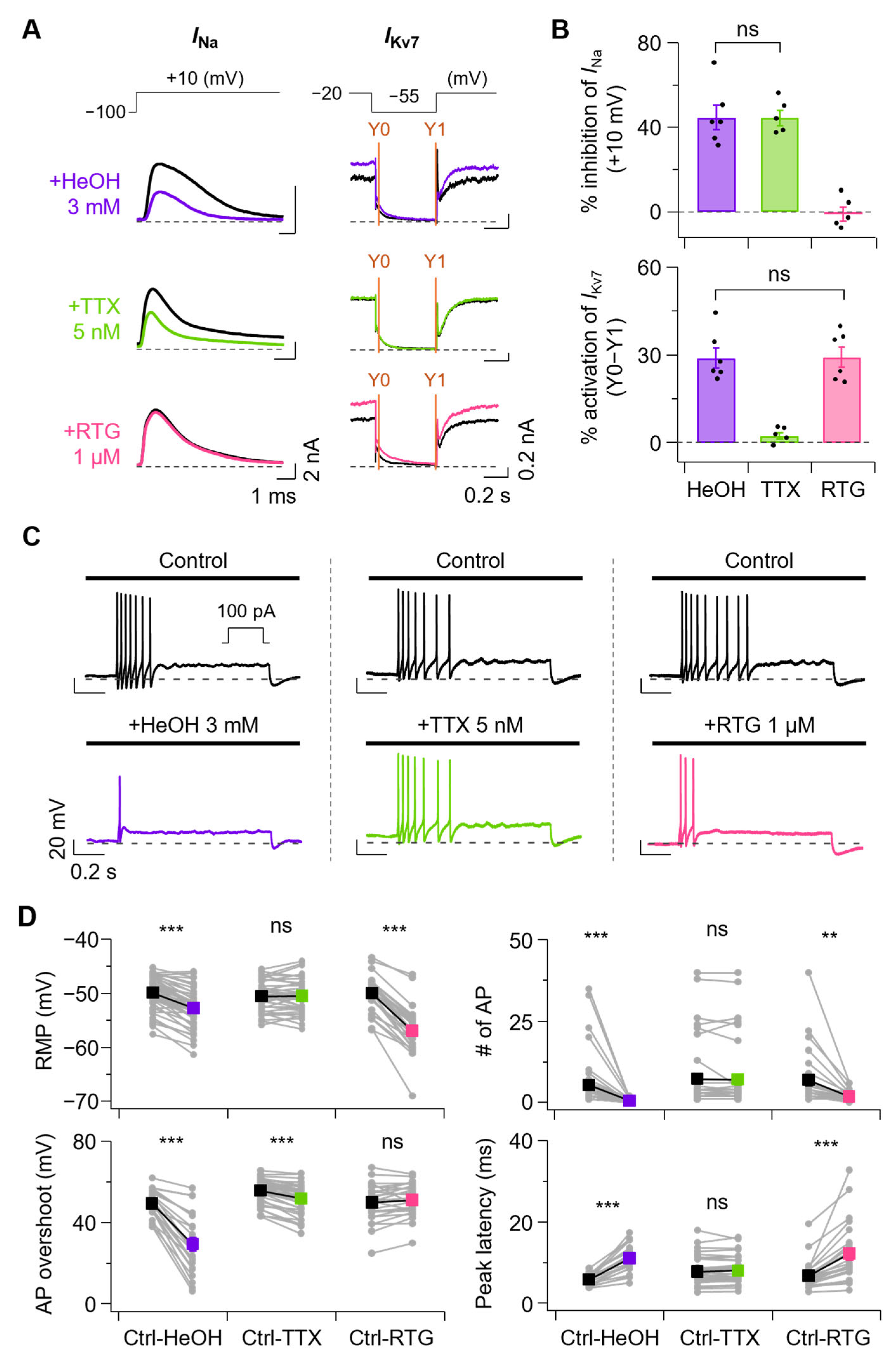 Cells 14 01723 g005 Cells 14 01723 g005