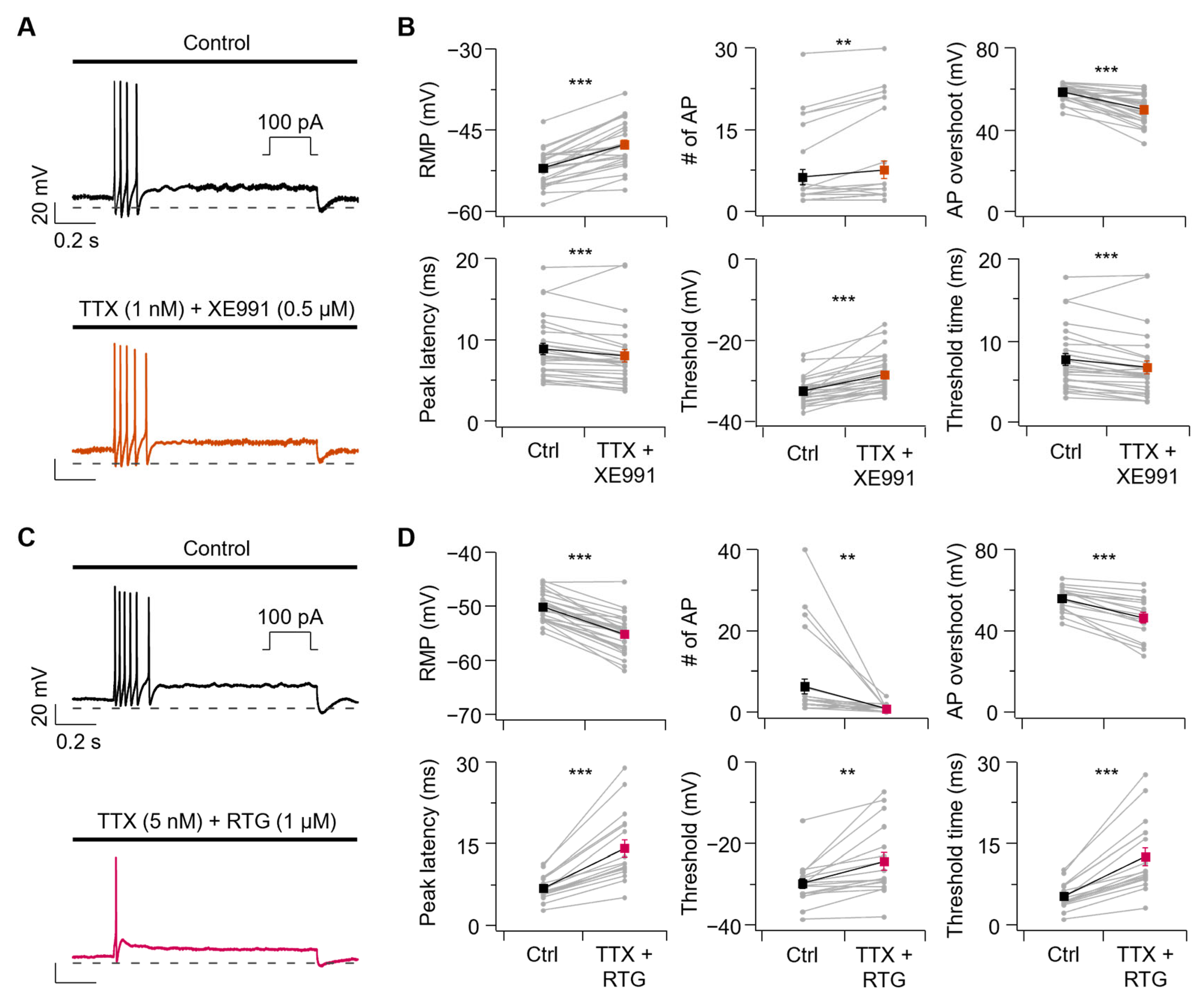 Cells 14 01723 g006 Cells 14 01723 g006