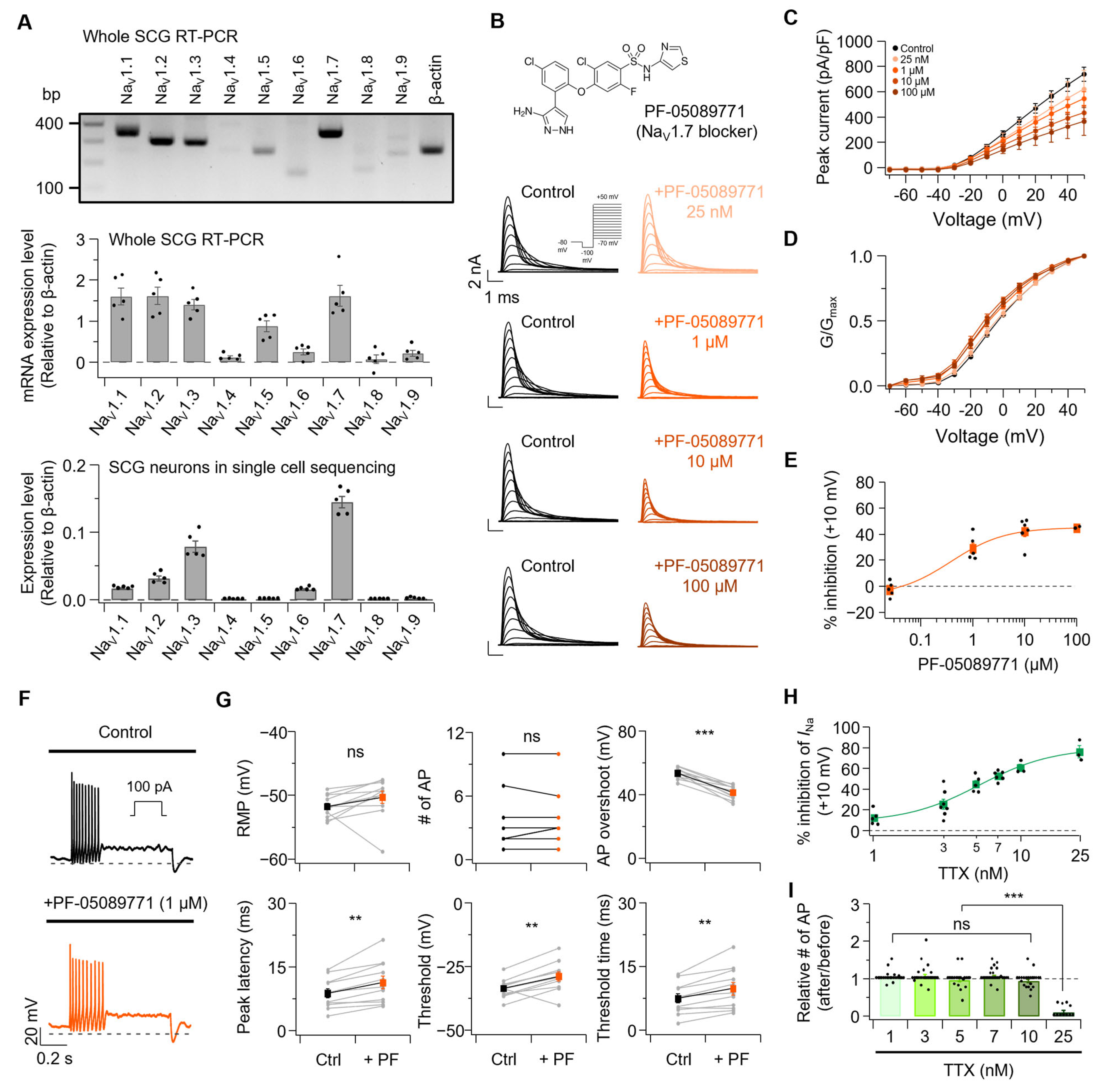 Cells 14 01723 g007 Cells 14 01723 g007